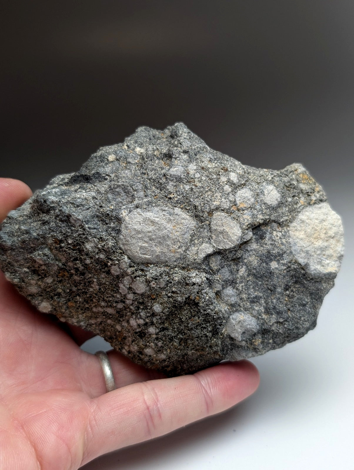 A rugged dark gray pseudoleucite syenite rock with white mineral inclusions from magnet cove igneous complex arkansas usa