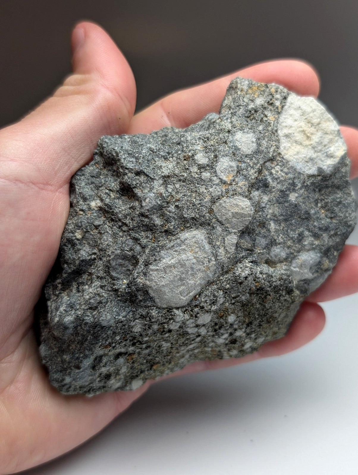A hand holds a rough gray pseudoleucite syenite rock with lighter mineral inclusions from Arkansas usa