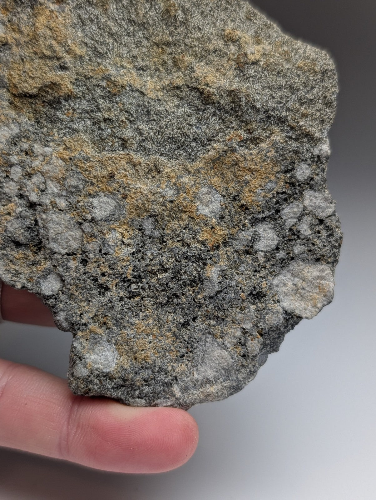 A rugged pseudoleucite syenite rock with mottled gray and tan surface and light mineral pockets from magnet cove arkansas