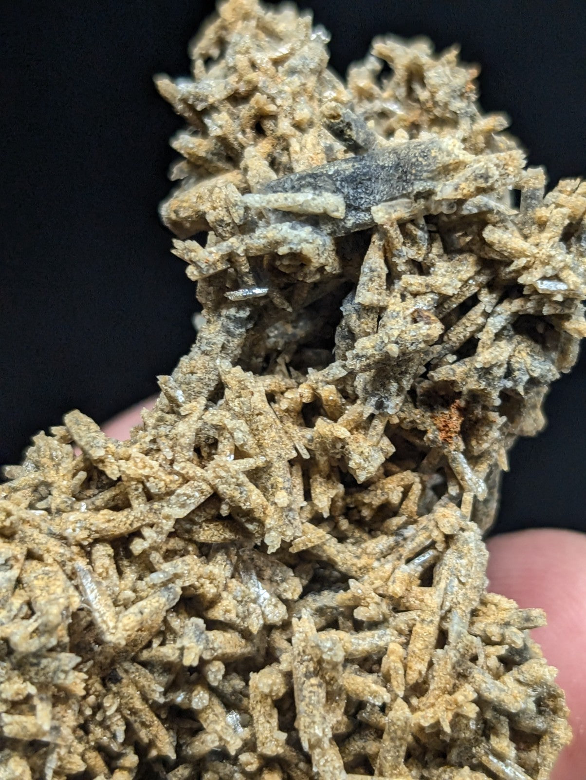 A textured, beige and gray mineral specimen with crystalline formations.
