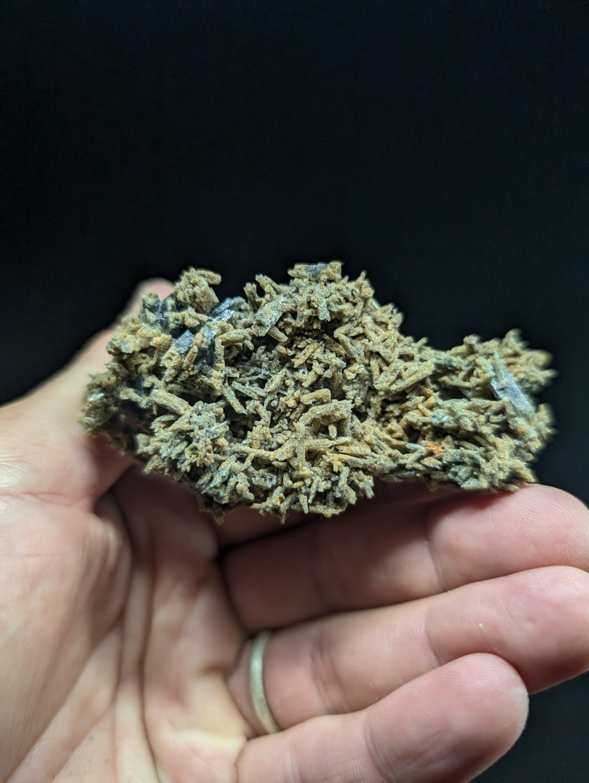 A dense, greenish-brown cannabis bud with a textured surface and visible trichomes.