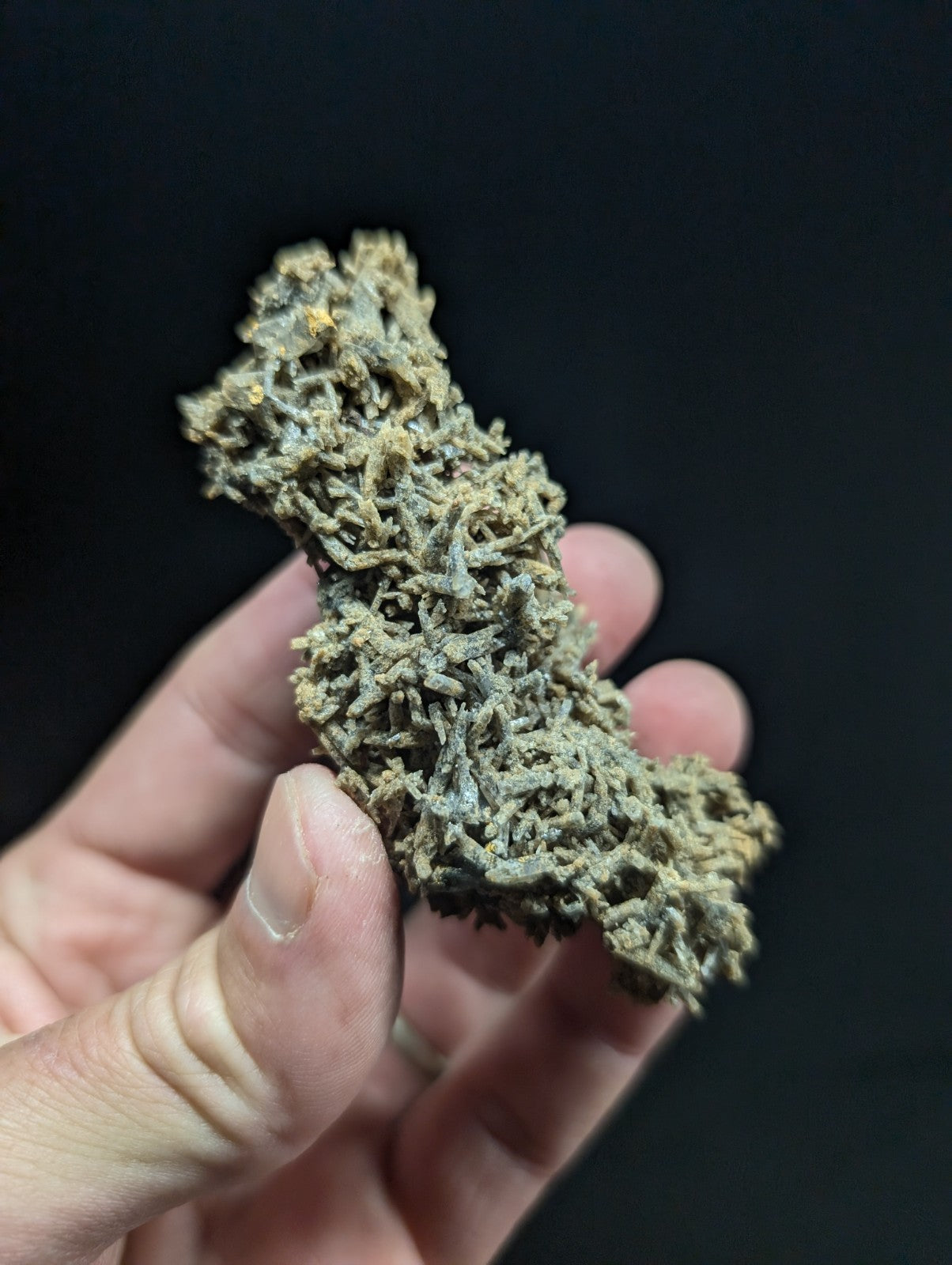 A textured, mossy green and gray mineral specimen with intricate branching structures.
