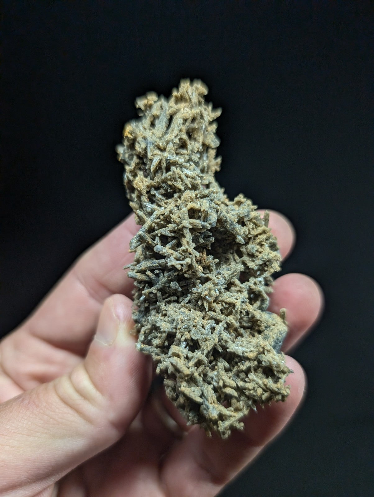 A textured, branching mineral specimen with a mottled greenish-gray surface.
