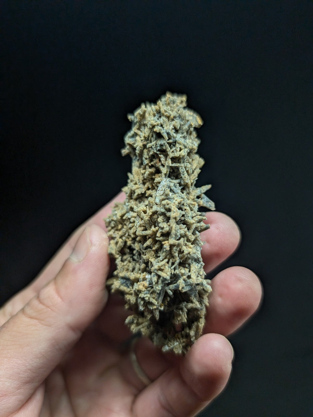 A textured, greenish-gray mineral specimen with intricate crystalline formations.