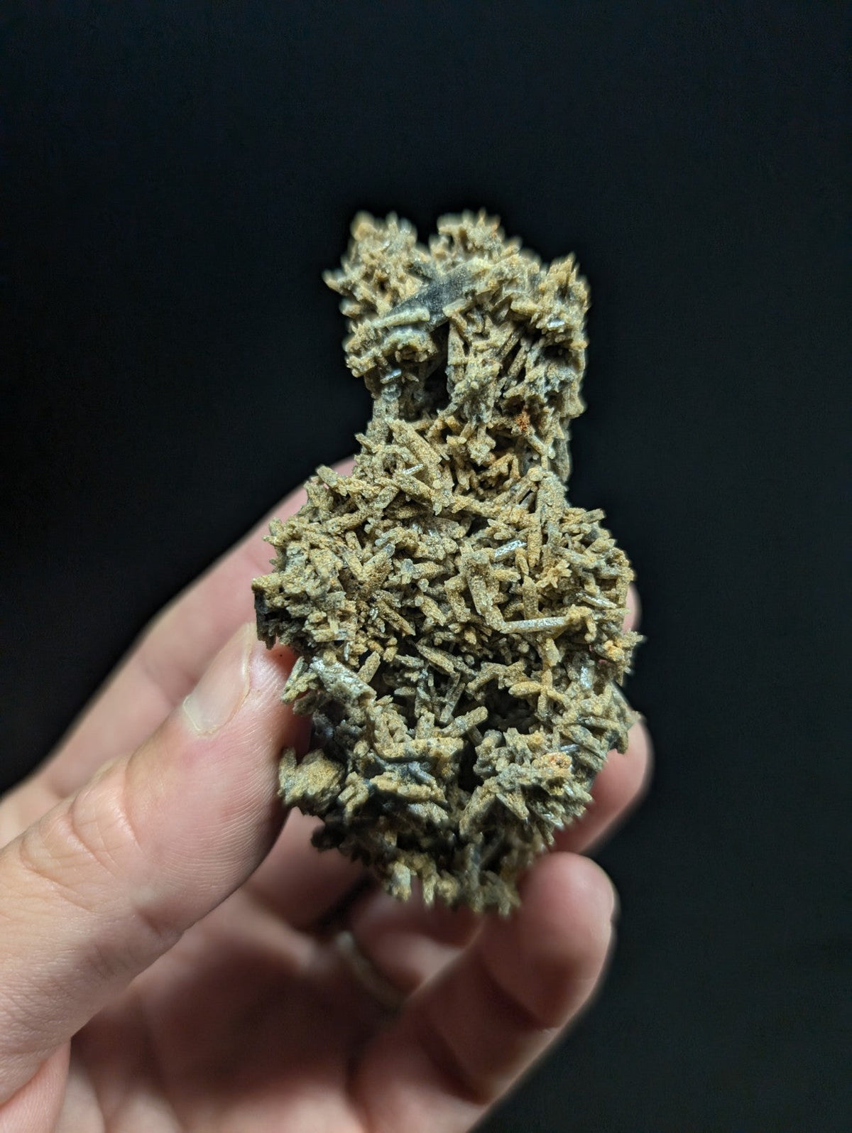 A textured, greenish-brown mineral specimen with a dense, branching crystalline structure.