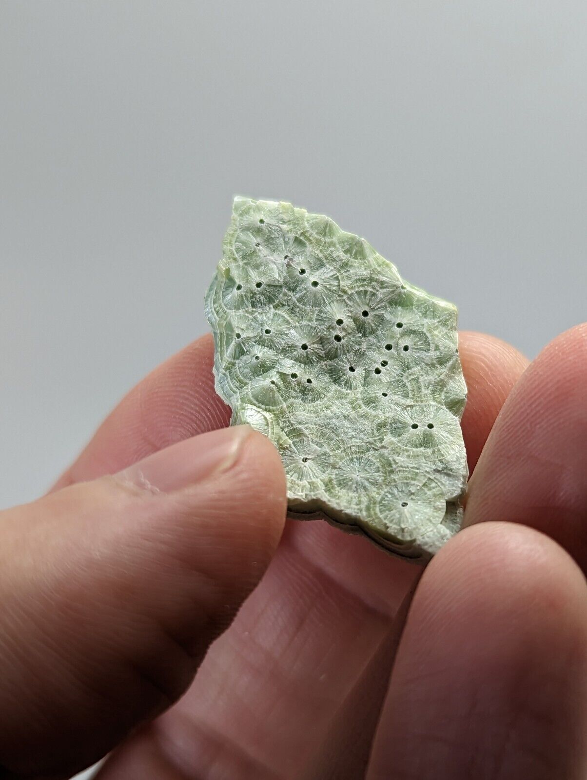 Pure Wavellite Floater - Fantastic 1990s Old Stock - Mauldin Mountain Arkansas - Collectibles:Rocks Fossils &
