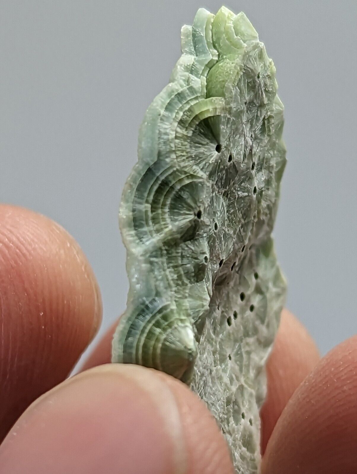 Pure Wavellite Floater - Fantastic 1990s Old Stock - Mauldin Mountain Arkansas - Collectibles:Rocks Fossils &