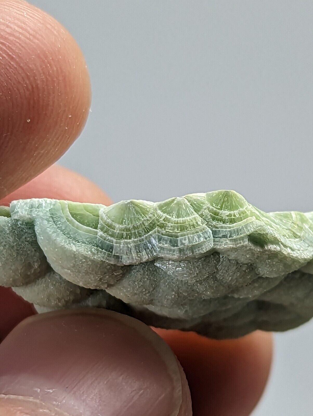 Pure Wavellite Floater - Fantastic 1990s Old Stock - Mauldin Mountain Arkansas - Collectibles:Rocks Fossils &