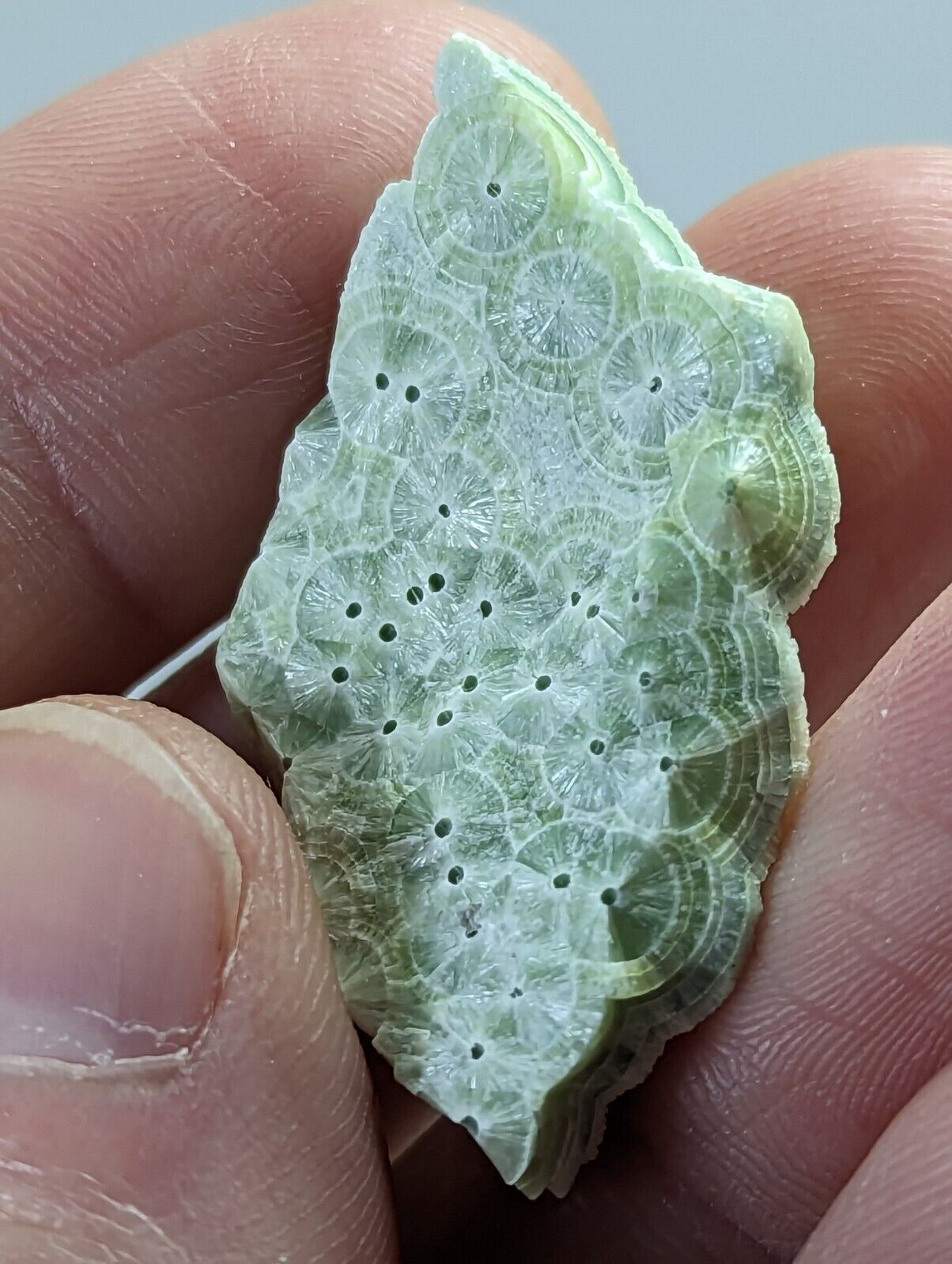 Pure Wavellite Floater - Fantastic 1990s Old Stock - Mauldin Mountain Arkansas - Collectibles:Rocks Fossils &