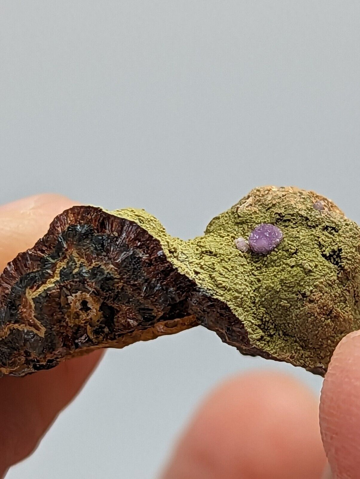 Purple Strengite on Kidwellite 3 Oaks Gap Polk Co. Arkansas Rare Specimen - Collectibles:Rocks Fossils &