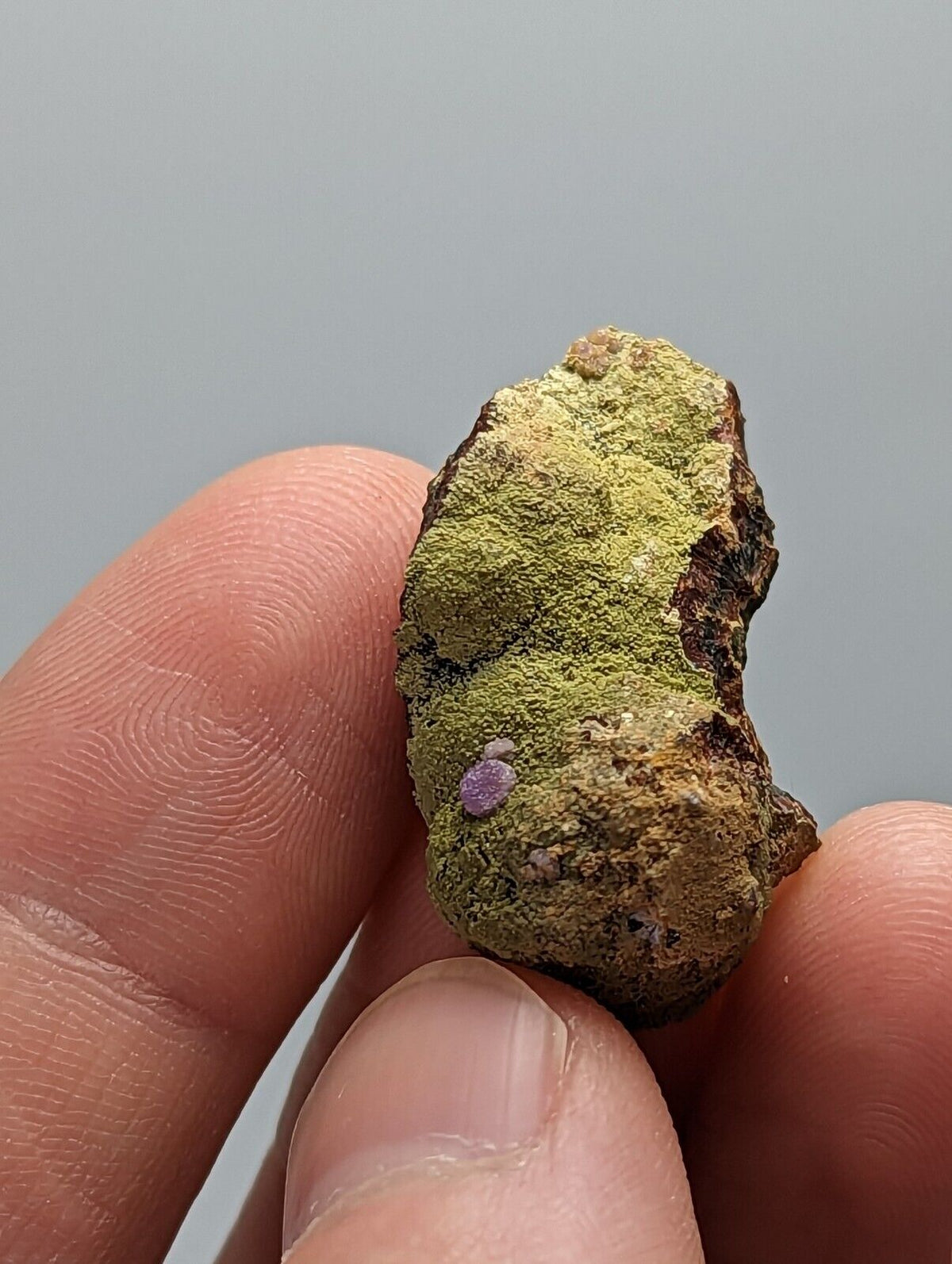 Purple Strengite on Kidwellite 3 Oaks Gap Polk Co. Arkansas Rare Specimen - Collectibles:Rocks Fossils &