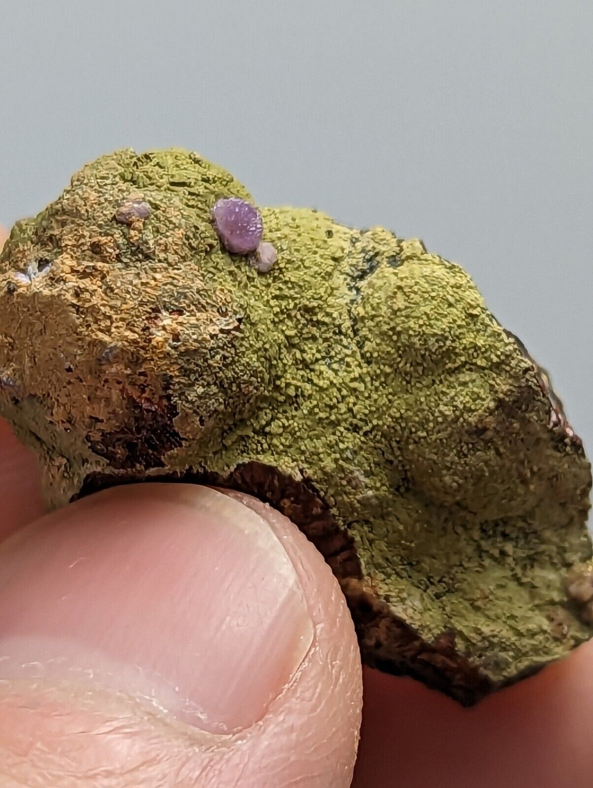 Purple Strengite on Kidwellite 3 Oaks Gap Polk Co. Arkansas Rare Specimen - Collectibles:Rocks Fossils &