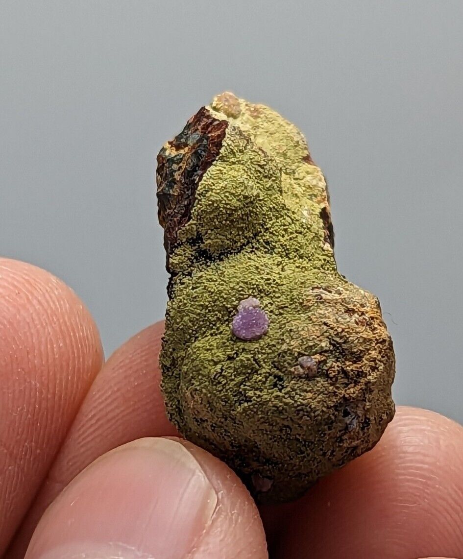 Purple Strengite on Kidwellite 3 Oaks Gap Polk Co. Arkansas Rare Specimen - Collectibles:Rocks Fossils &