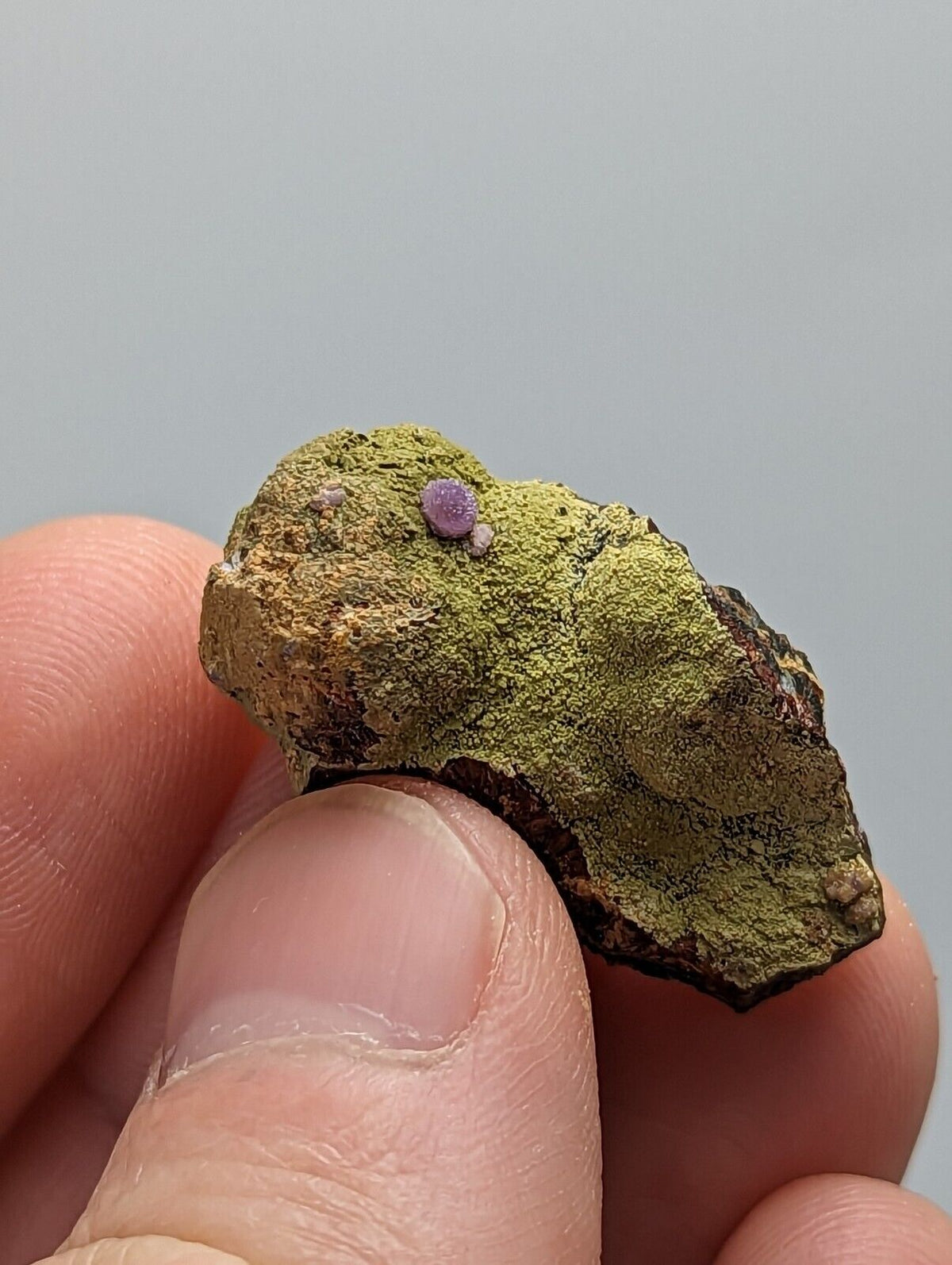 Purple Strengite on Kidwellite 3 Oaks Gap Polk Co. Arkansas Rare Specimen - Collectibles:Rocks Fossils &