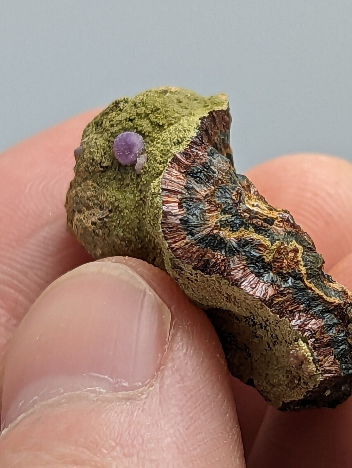 Purple Strengite on Kidwellite 3 Oaks Gap Polk Co. Arkansas Rare Specimen - Collectibles:Rocks Fossils &
