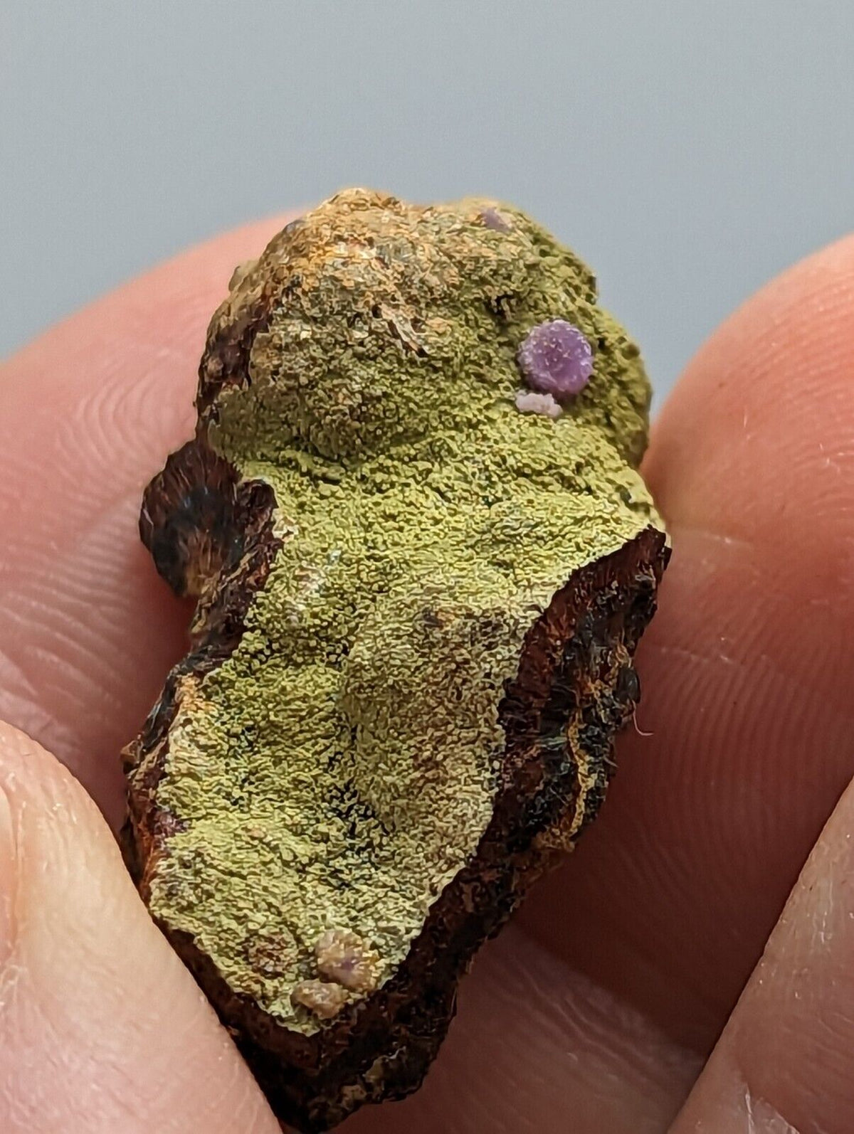 Purple Strengite on Kidwellite 3 Oaks Gap Polk Co. Arkansas Rare Specimen - Collectibles:Rocks Fossils &