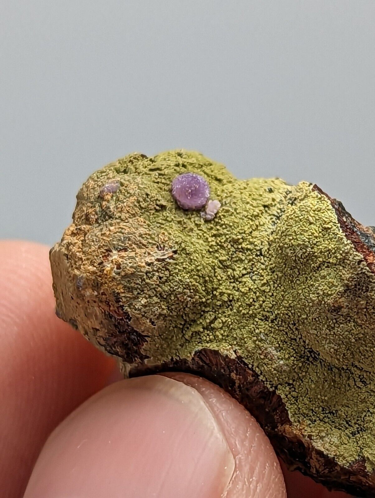 Purple Strengite on Kidwellite 3 Oaks Gap Polk Co. Arkansas Rare Specimen - Collectibles:Rocks Fossils &