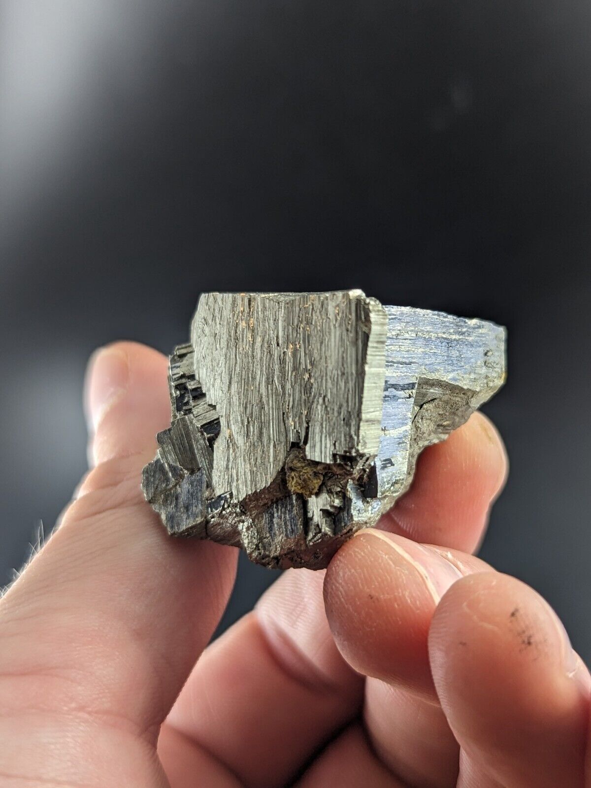 Pyrite w/ Molybdenum Magnet Cove Hot Spring County Arkansas Rare Old Stock - Collectibles:Rocks Fossils &