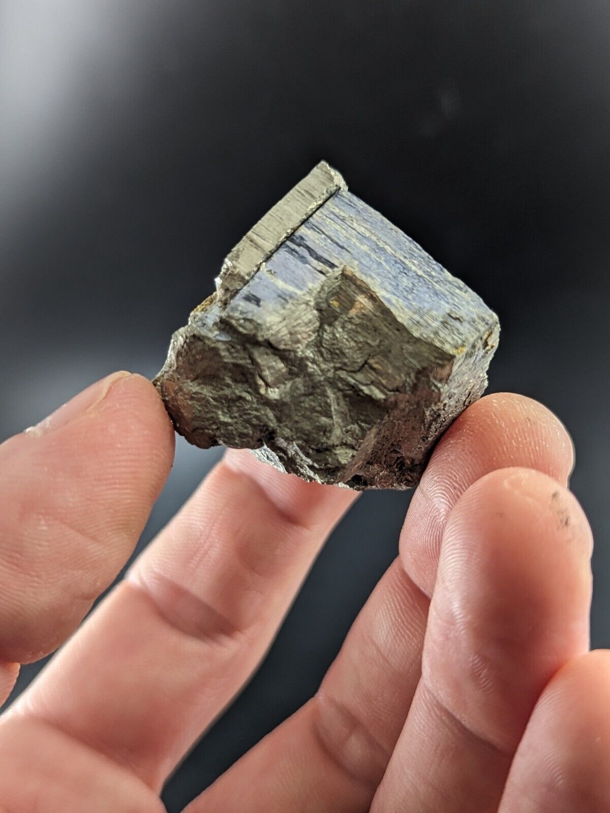 Pyrite w/ Molybdenum Magnet Cove Hot Spring County Arkansas Rare Old Stock - Collectibles:Rocks Fossils &