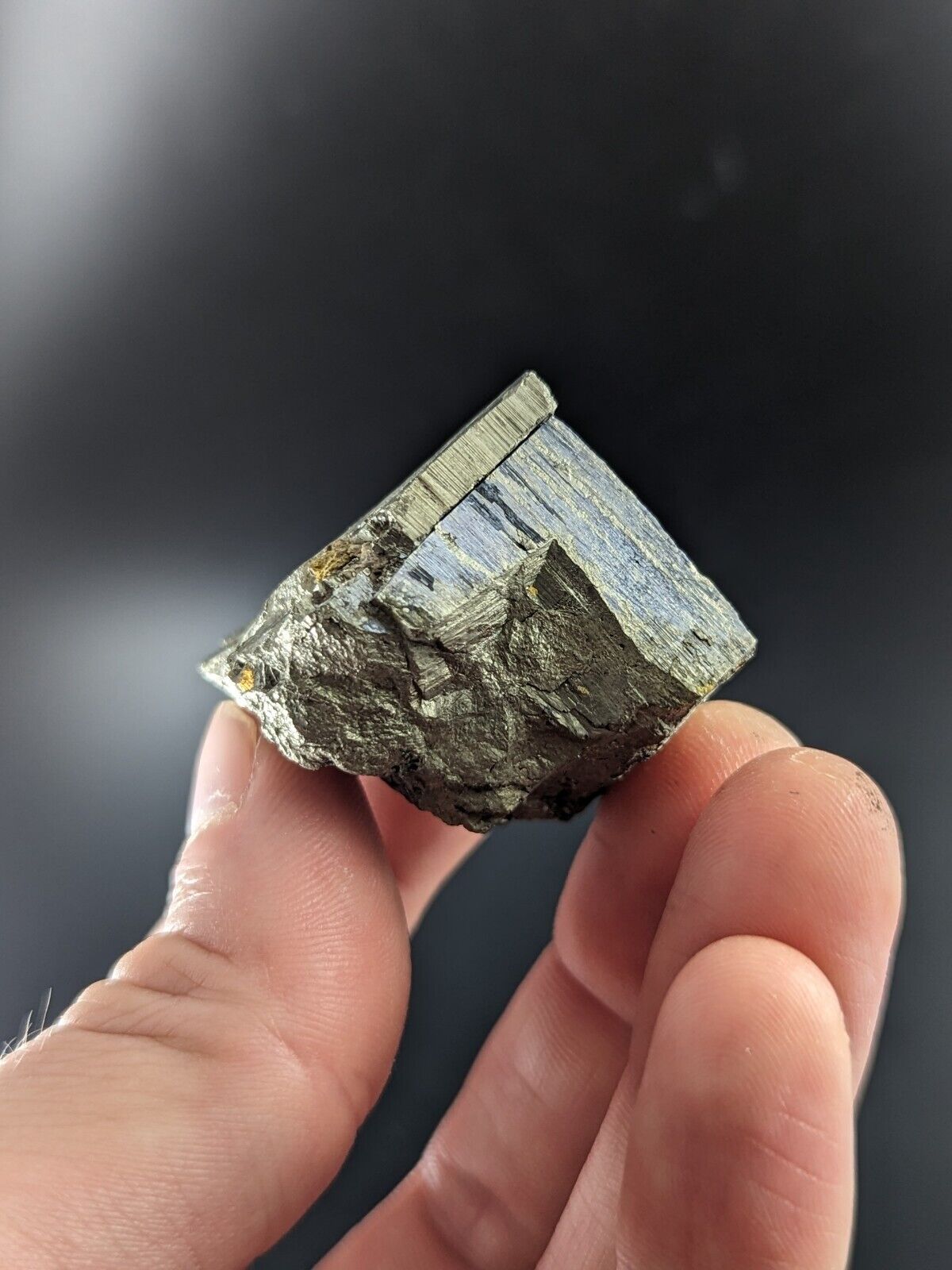 Pyrite w/ Molybdenum Magnet Cove Hot Spring County Arkansas Rare Old Stock - Collectibles:Rocks Fossils &