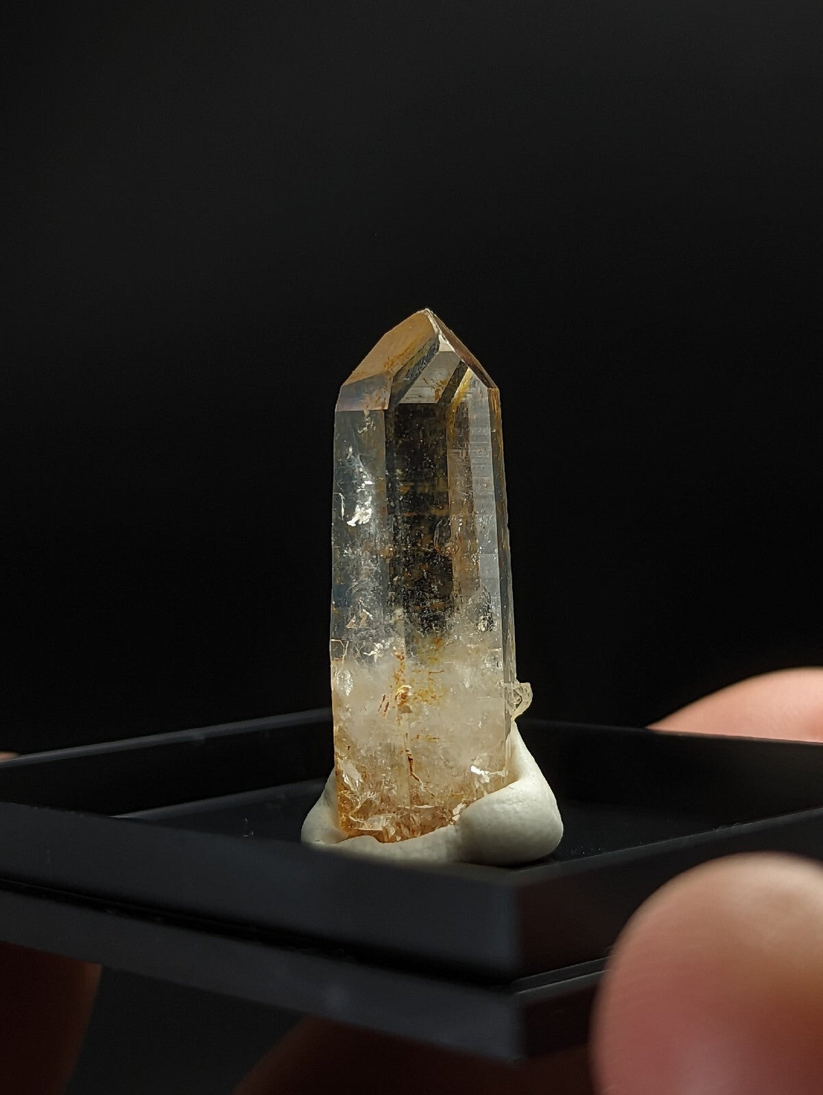 A translucent golden-hued quartz crystal with a pointed tip, displayed upright on a white resin base within a black display tray.