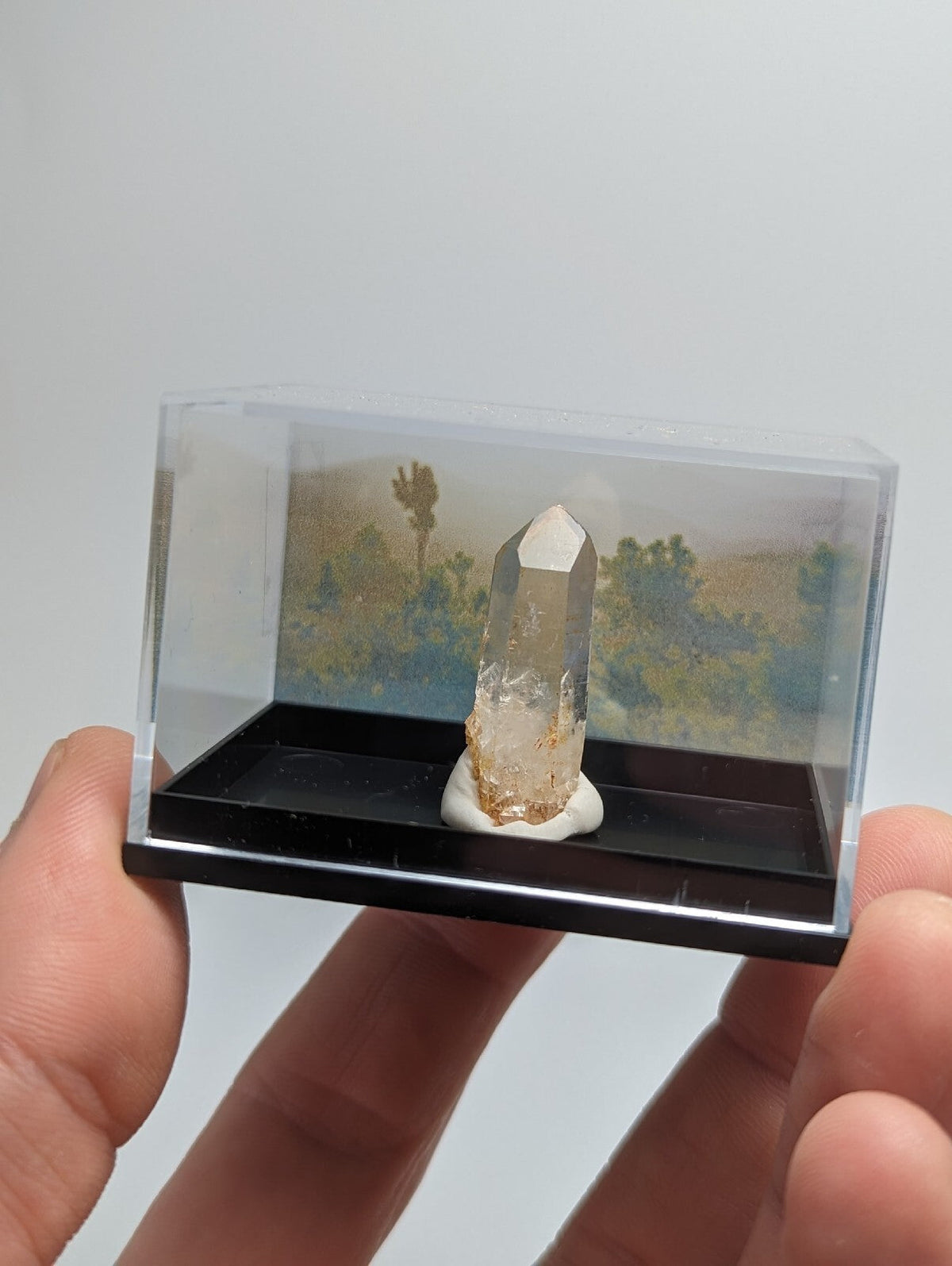 A clear quartz crystal with golden inclusions, displayed upright on a white base inside a transparent display case.