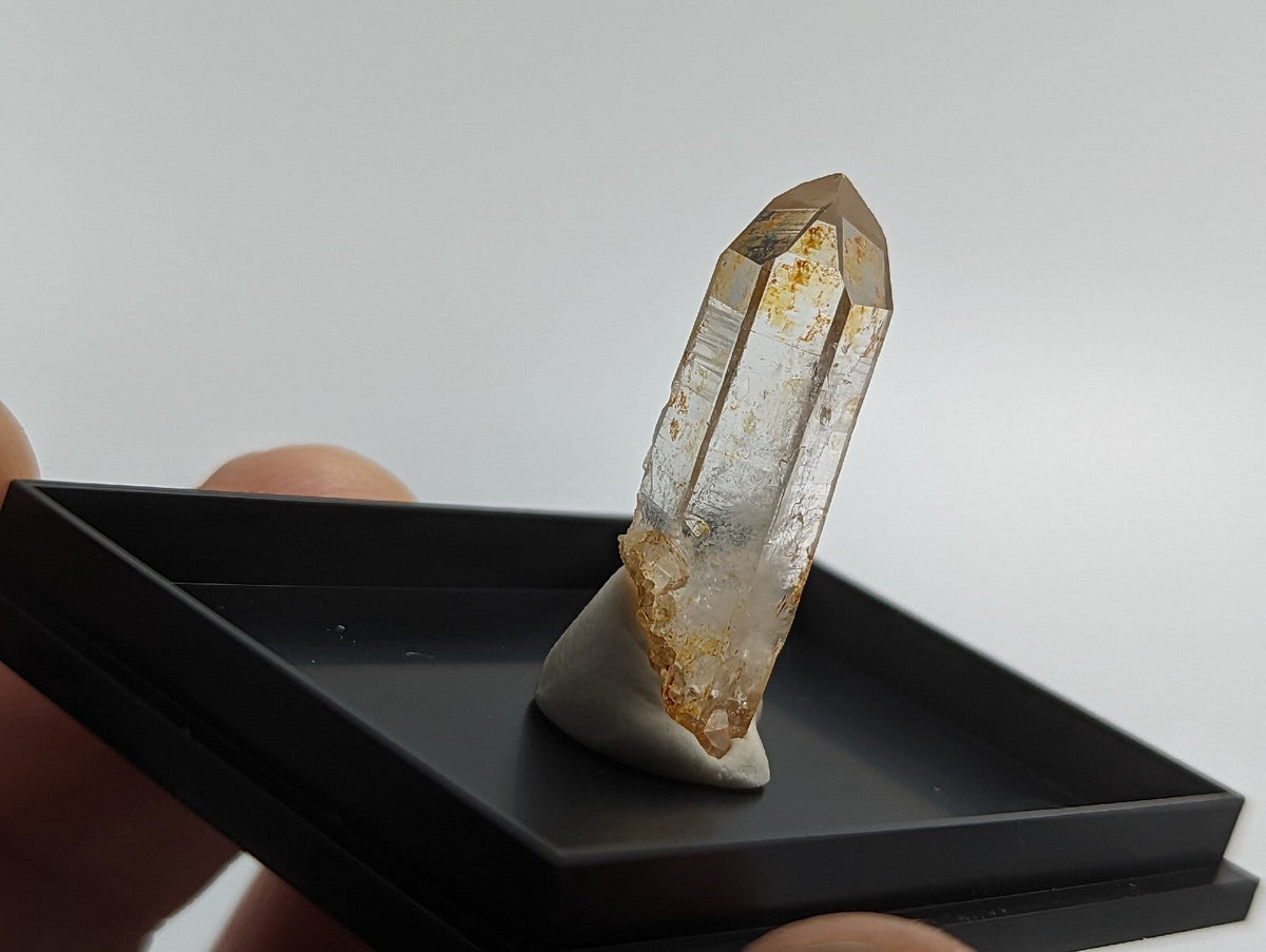A translucent golden-brown quartz crystal with natural inclusions, displayed upright on a white base within a black rectangular display box.