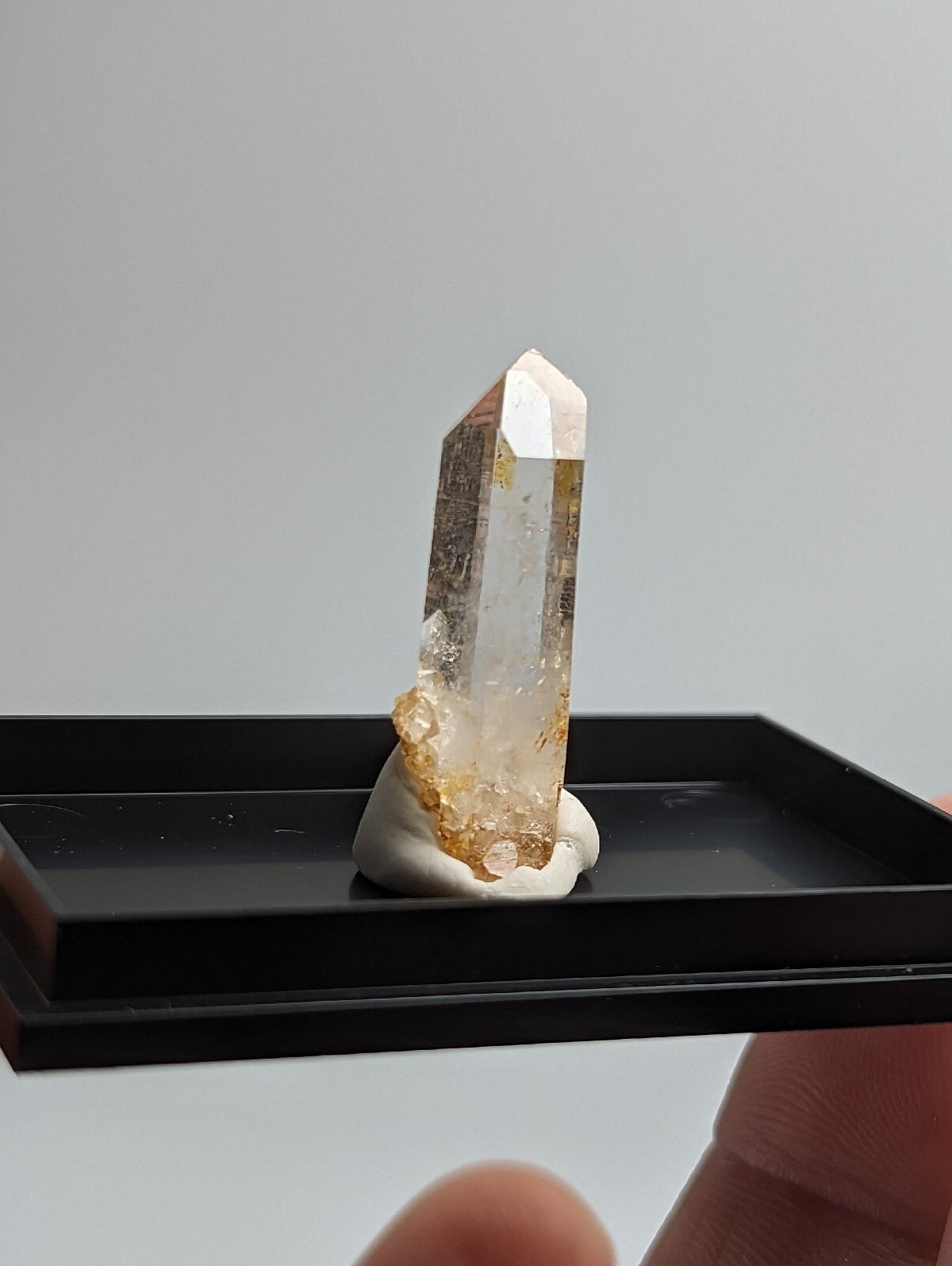 A translucent golden-hued quartz crystal with a pointed tip and embedded yellow inclusions, mounted on a white base within a black display tray.