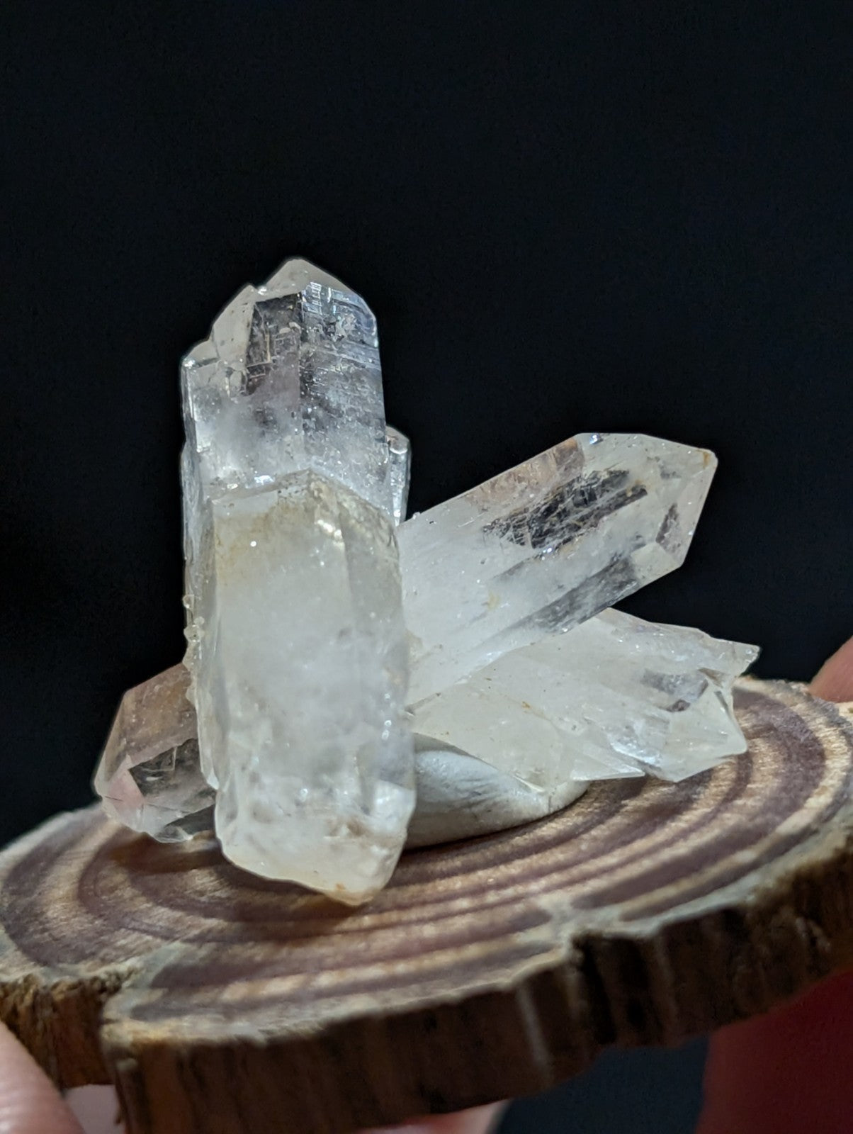 Clear quartz crystal cluster resting on a circular wooden slice.