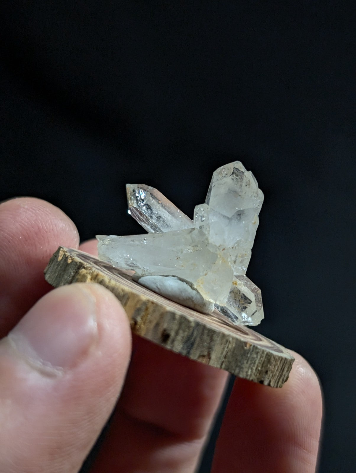 A clear quartz crystal cluster mounted on a rustic wooden slice.