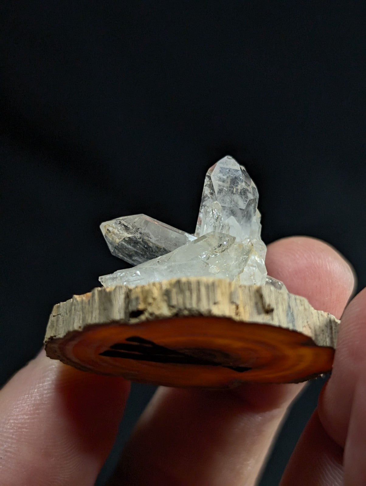 A clear quartz crystal cluster mounted on a rustic wooden slice.