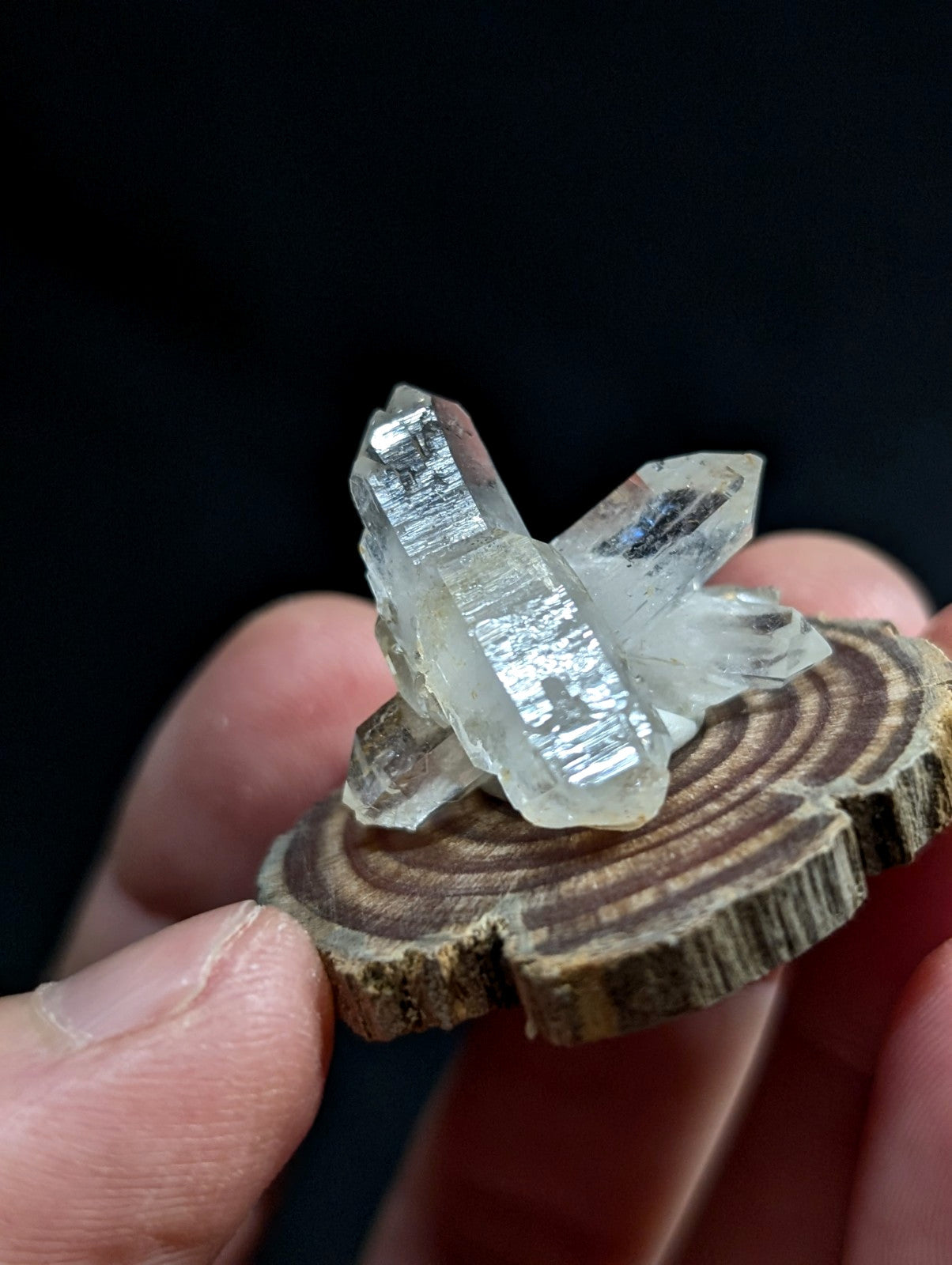 A translucent, clear quartz crystal cluster with sharp facets and subtle internal inclusions rests on a rustic wooden slice.