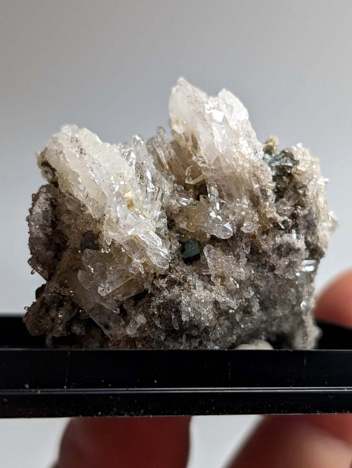 Quartz crystal cluster with blue-green cookeite showing translucent sharp quartz facets on a dark gray matrix