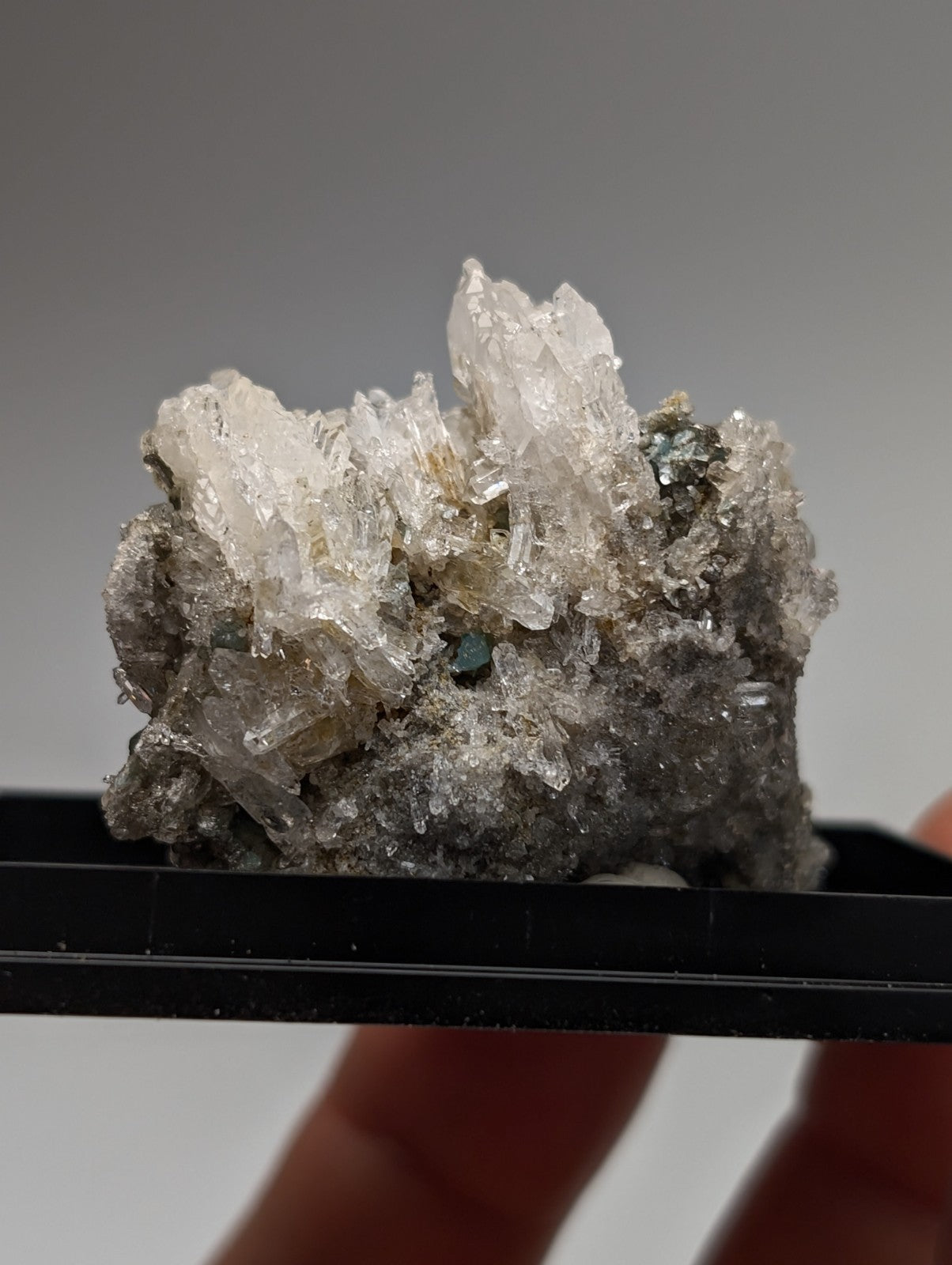 Translucent quartz crystal cluster with gray matrix base and small blue-green cookeite from Saline County Arkansas