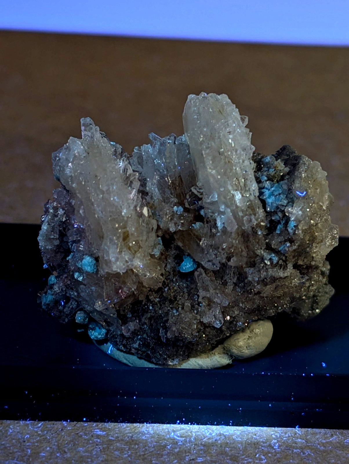 Quartz crystal cluster with translucent icy quartz and blue-green cookeite inclusions from saline county Arkansas under UV light