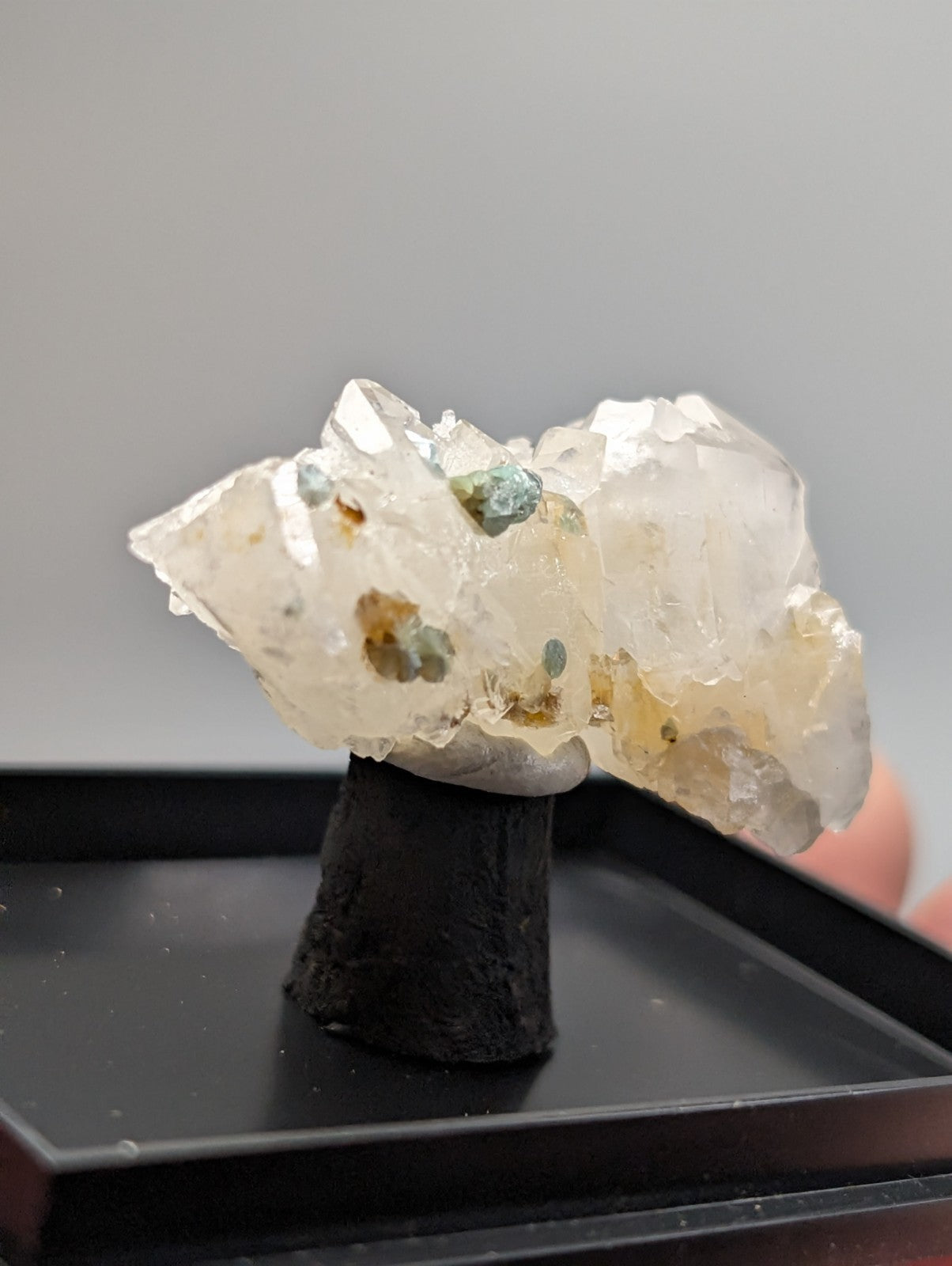 Quartz crystal cluster with blue-green cookeite and brown inclusions on a dark stand from Saline County Arkansas under UV light