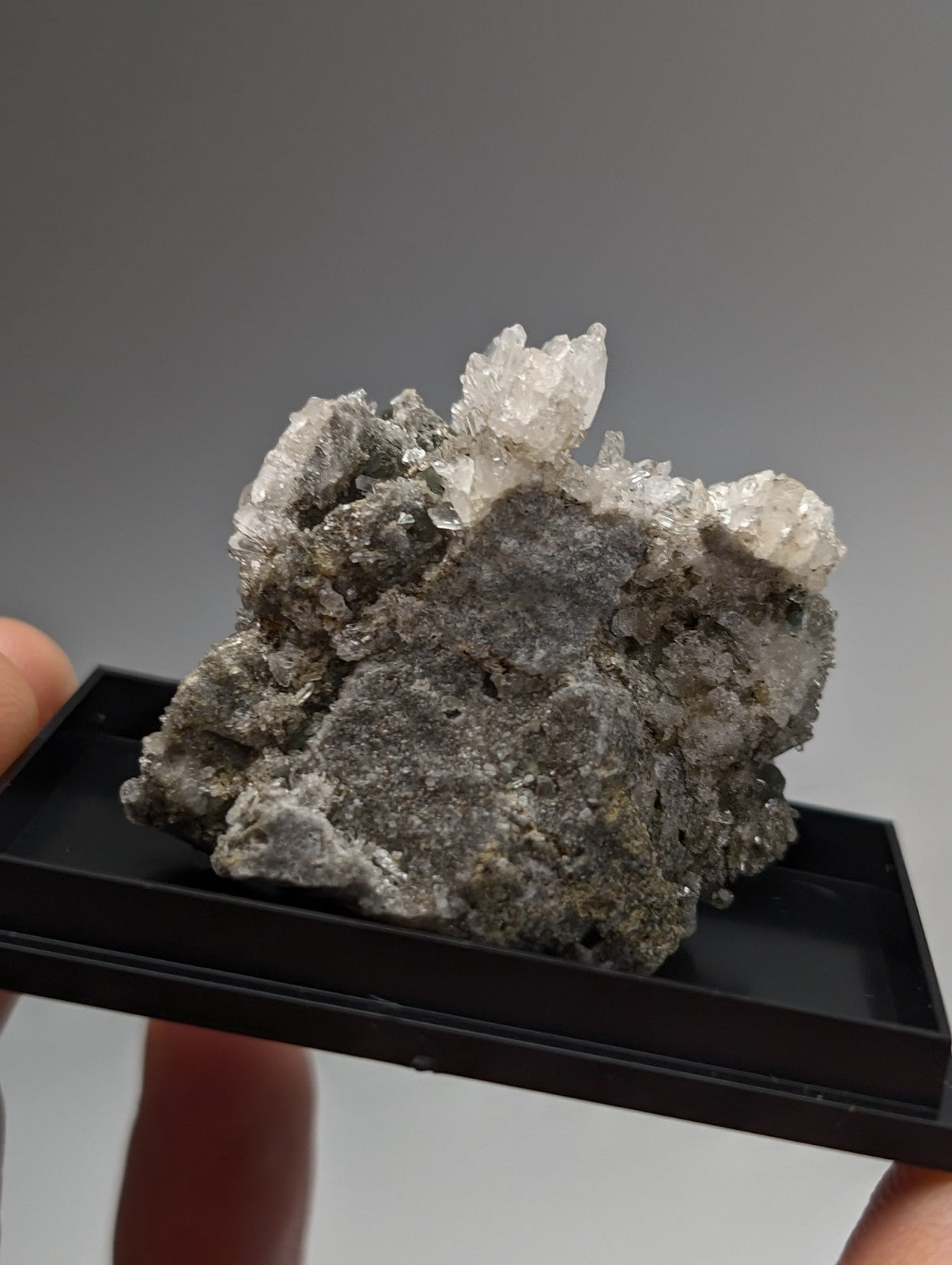 Quartz crystal cluster with blue-green cookeite showing translucent gray and crystalline formations from saline county arkansas