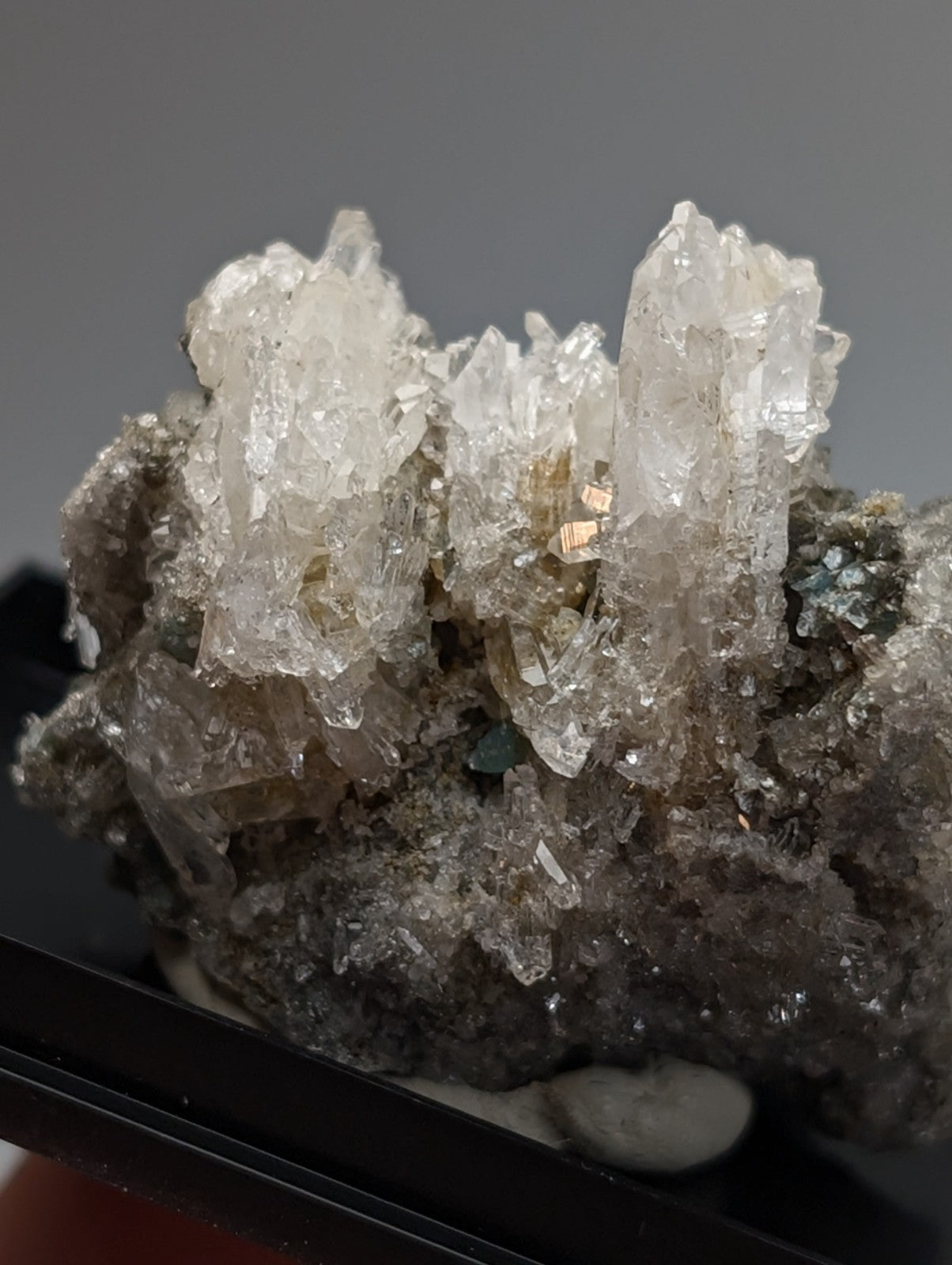 A quartz crystal cluster with blue-green cookeite featuring translucent crystals on dark mineral matrix from arkansas