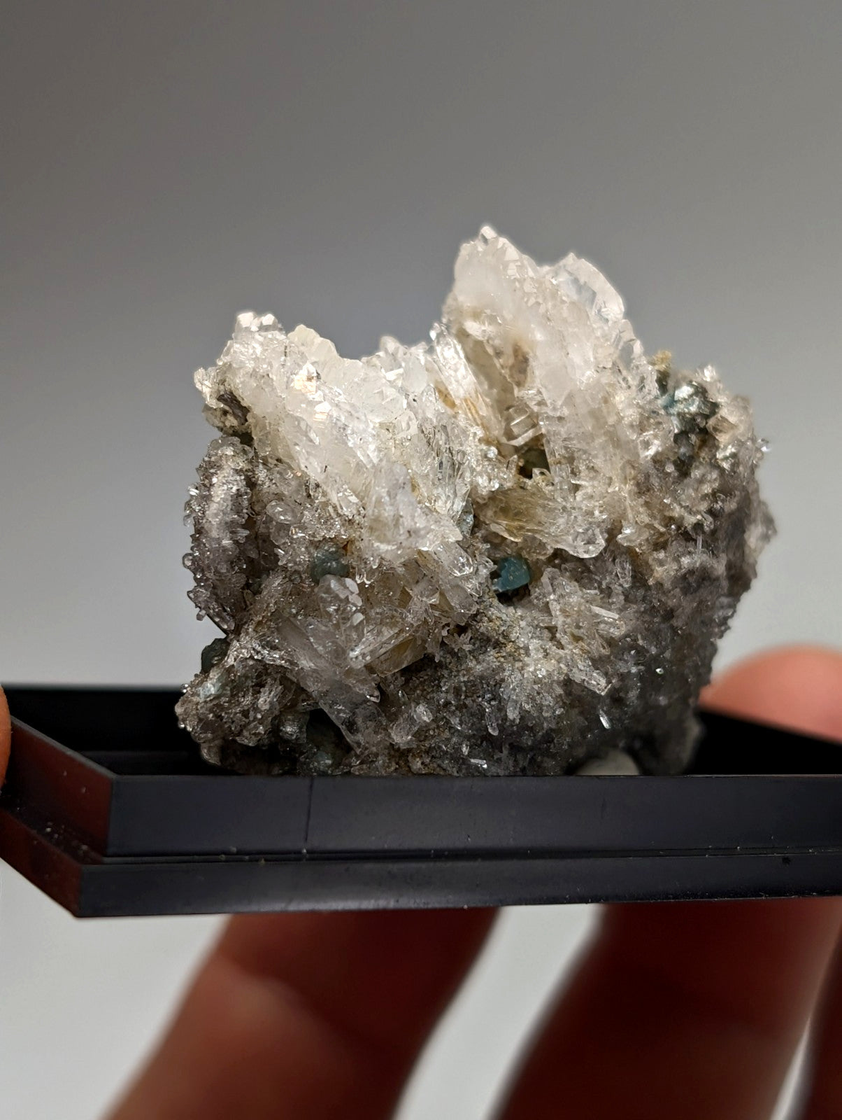Quartz crystal cluster with blue-green cookeite from Saline County Arkansas featuring translucent grayish crystalline edges and green flecks