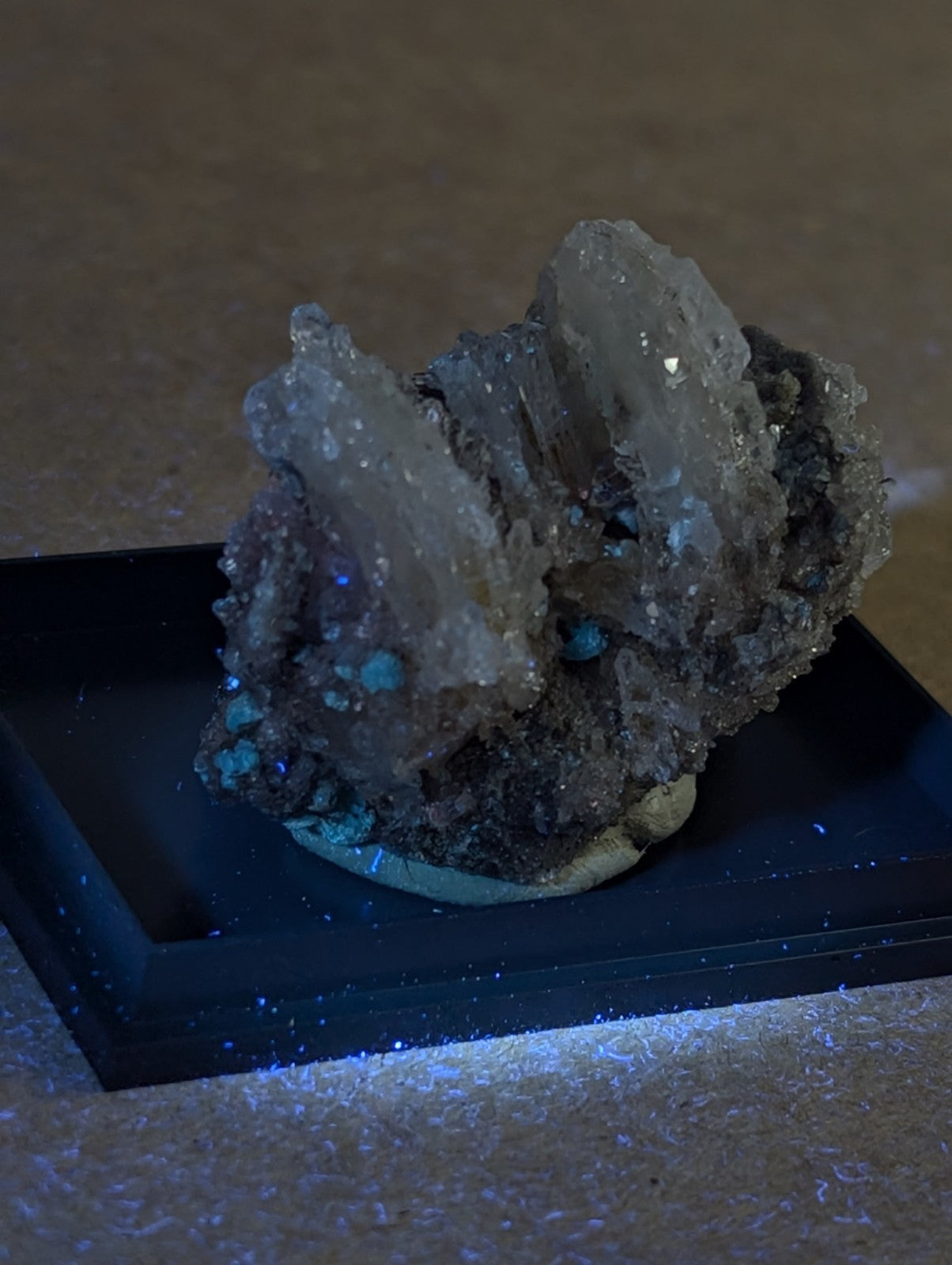 Quartz crystal cluster with blue-green cookeite and turquoise inclusions on black base from Saline County Arkansas under UV light