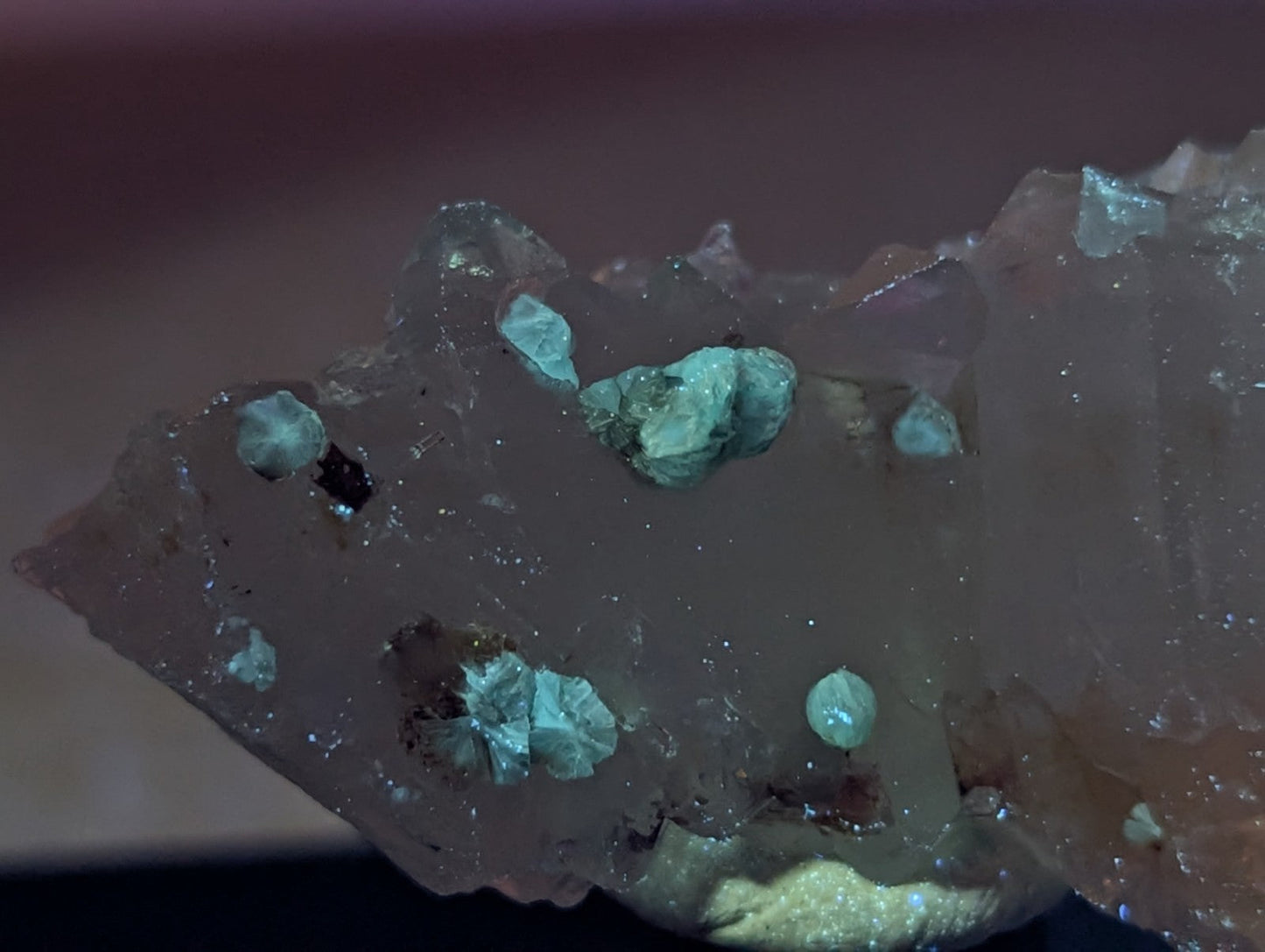 Quartz crystal cluster with vibrant blue-green cookeite crystals on a pale green translucent matrix from Arkansas