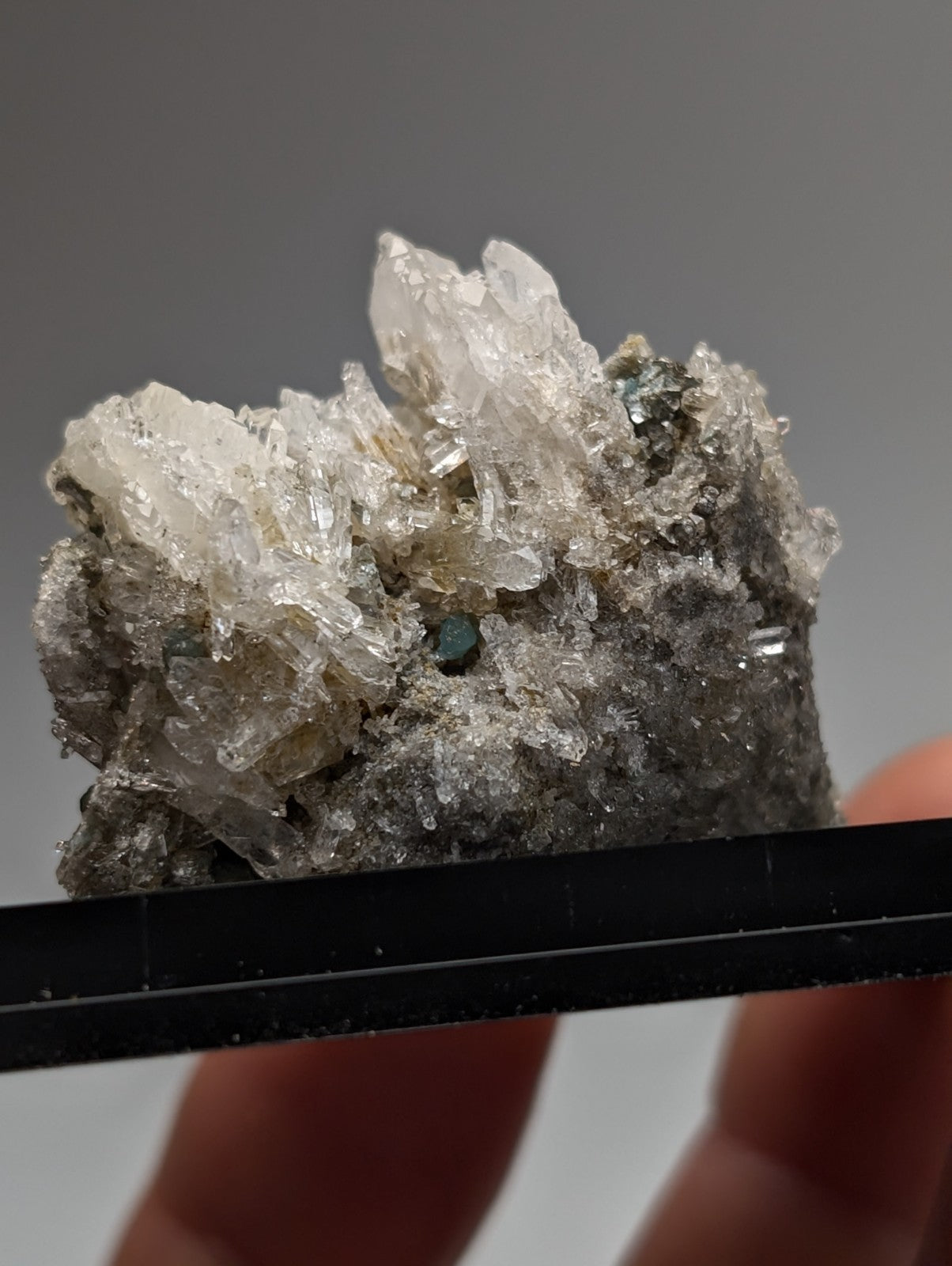 Translucent quartz crystal cluster with sharp points and blue-green cookeite on dark gray matrix from saline county arkansas