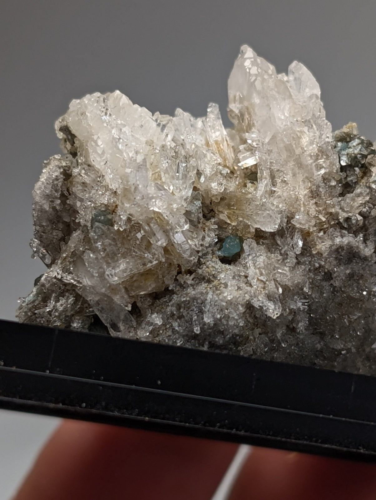 Quartz crystal cluster with blue-green cookeite featuring translucent faceted crystals on a dark gray matrix from Arkansas
