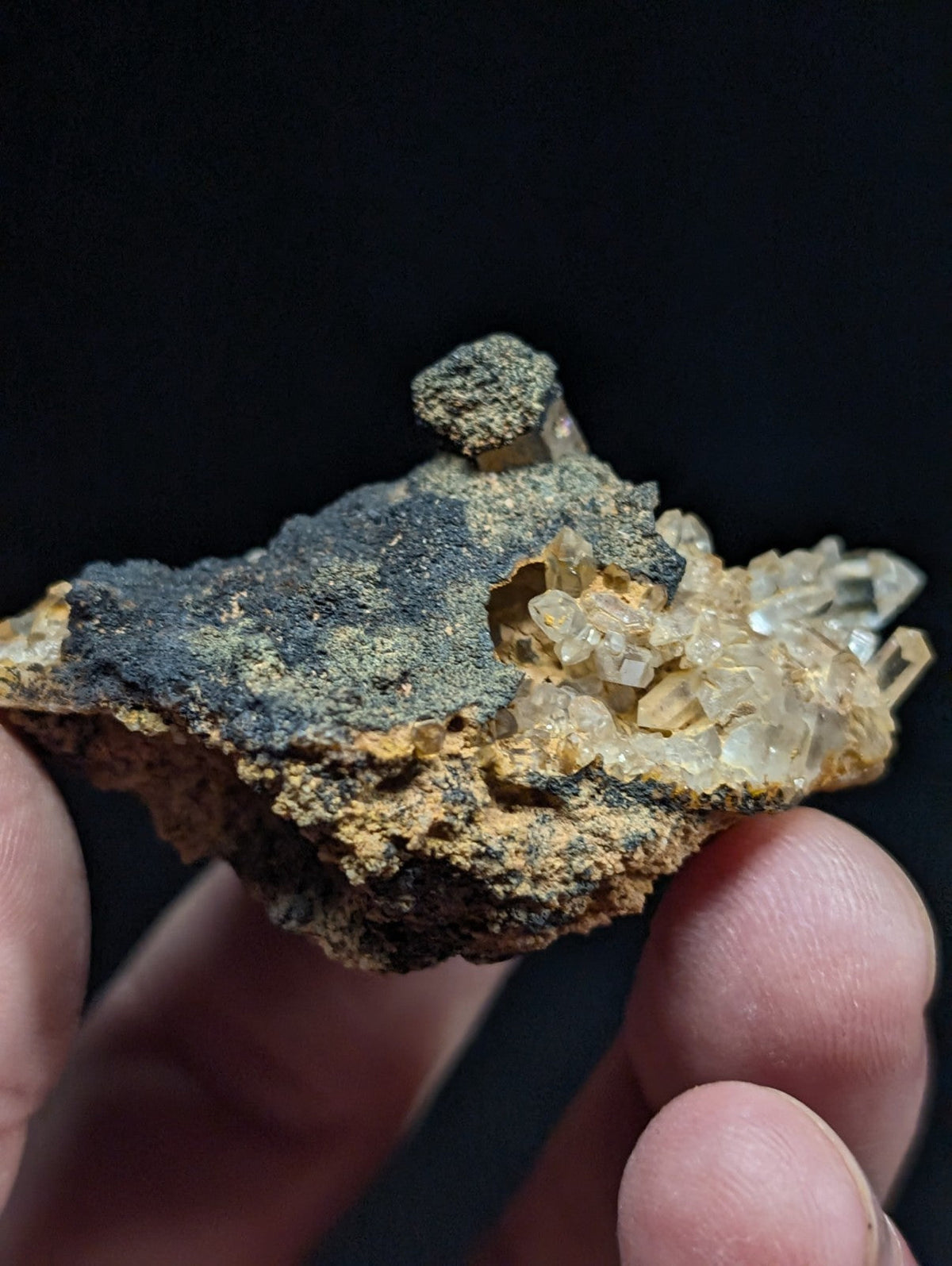 A hand holds a geological specimen featuring translucent, golden-yellow crystals emerging from a rugged matrix of dark gray and earthy brown rock.