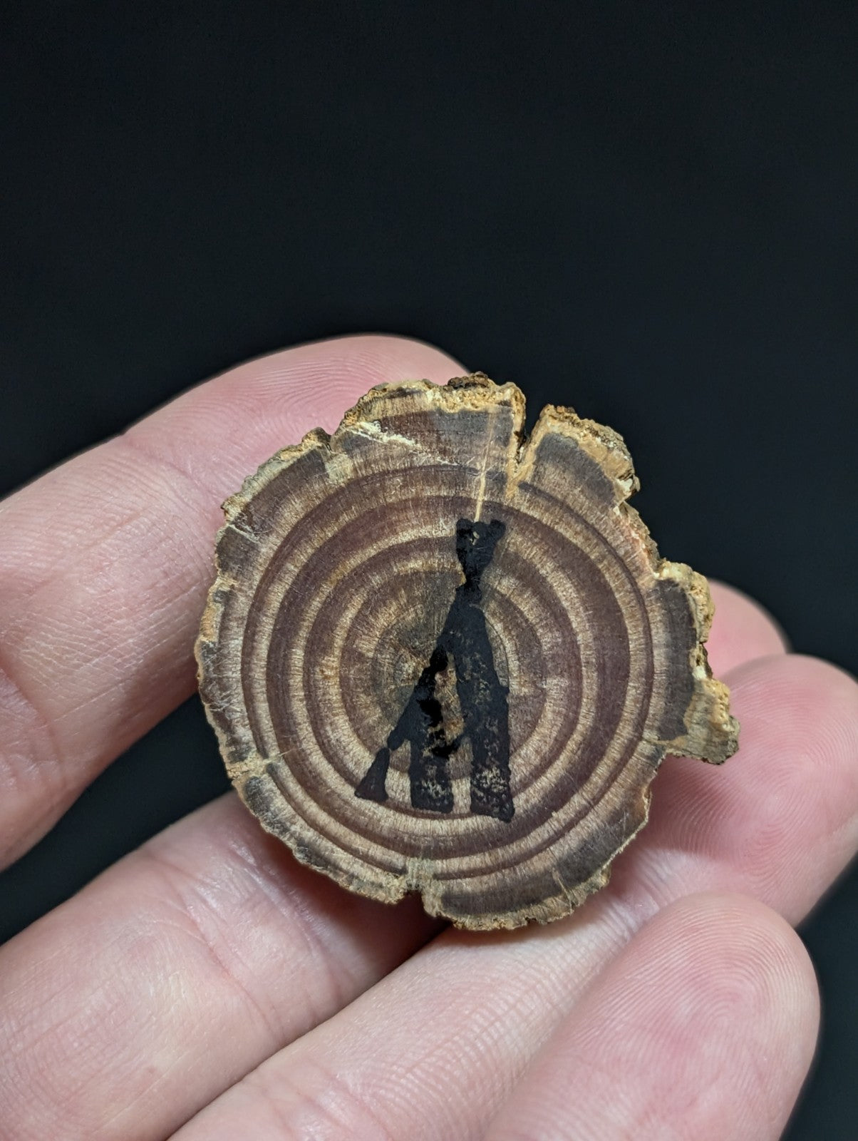 A rustic, circular wooden slice with visible growth rings and a black silhouette of a figure engraved on its surface.