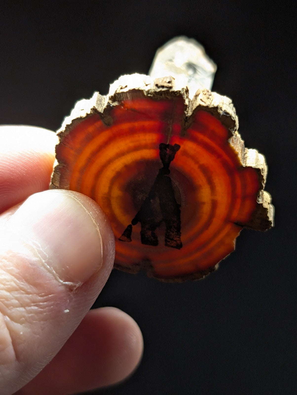 A hand holds a circular, sliced piece of amber-colored wood with concentric rings and a dark silhouette cutout.