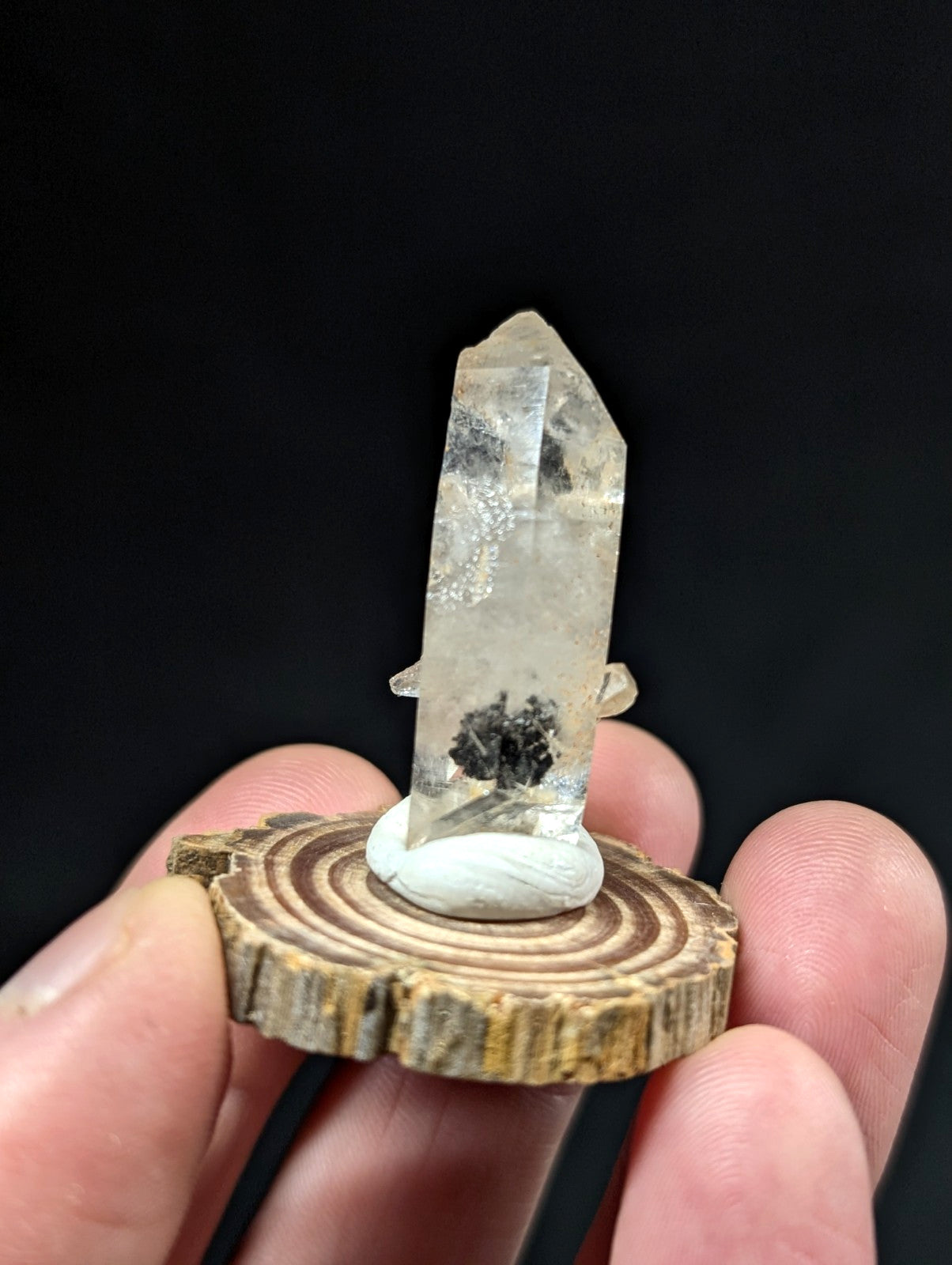 A clear quartz crystal with a dark inclusion at its base, mounted on a rustic wooden slice.