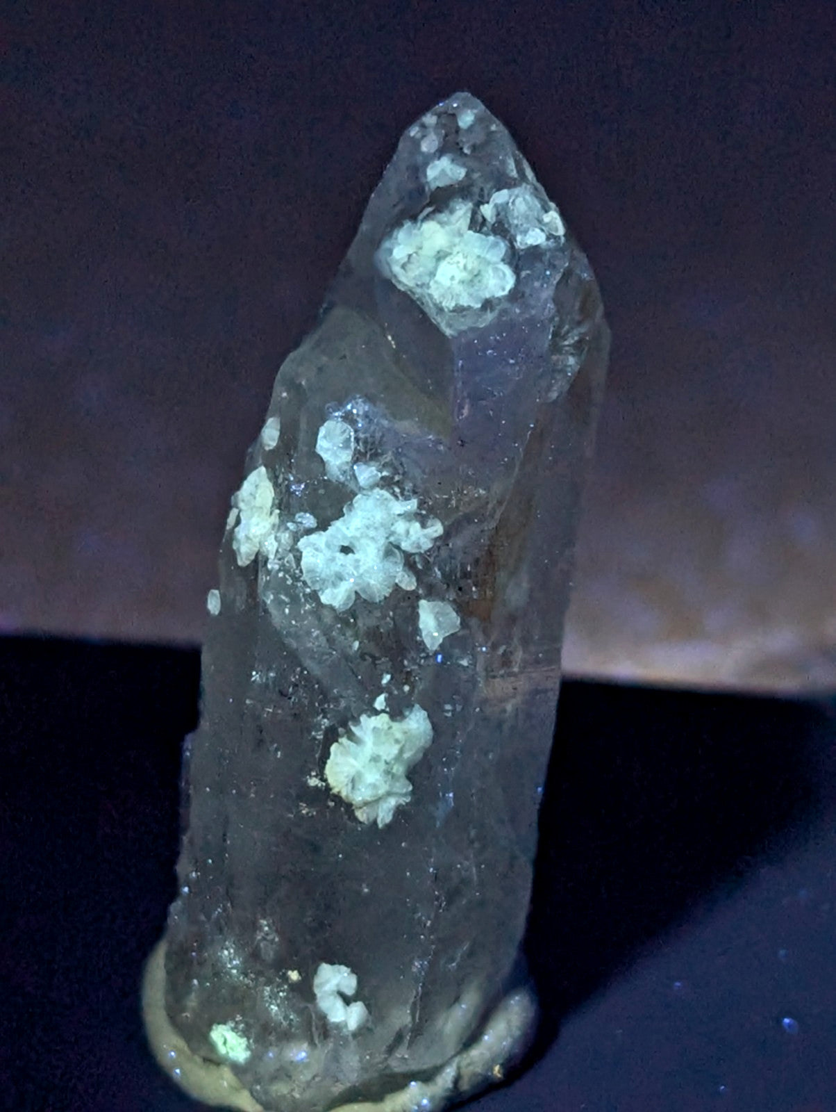 Translucent quartz crystal point with white mineral inclusions and uv reactive cookeite from saline county arkansas usa