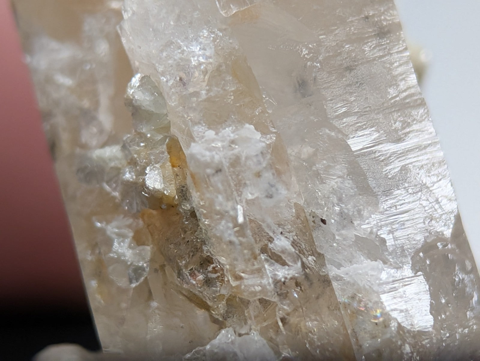 A translucent quartz crystal point with clear and milky white facets featuring uv reactive cookeite from arkansas