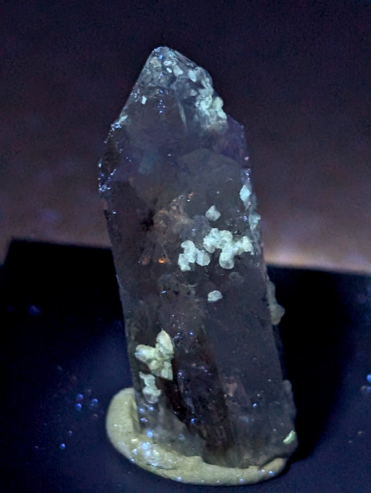 Quartz crystal point with UV reactive cookeite from Saline County Arkansas translucent dark gray with white mineral inclusions